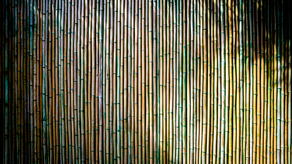 Only bamboo