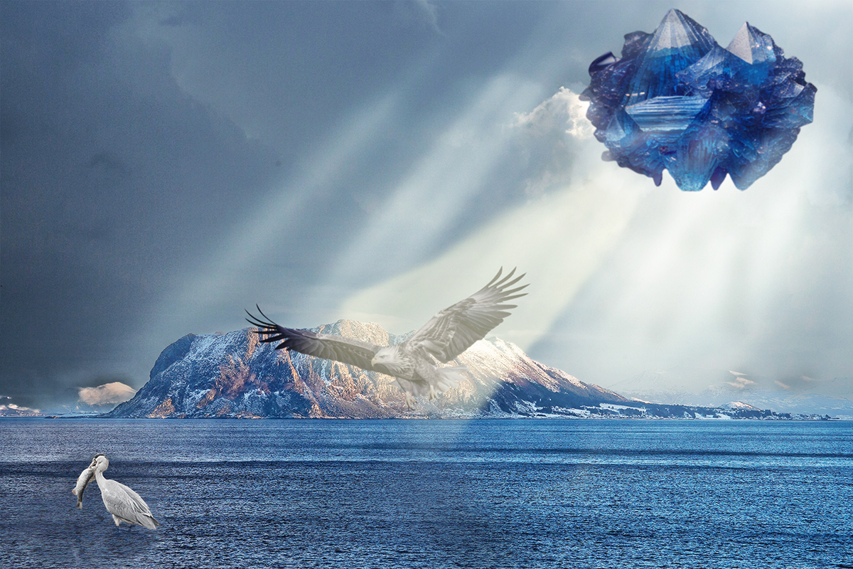 Who Is Who In the Food Chain?