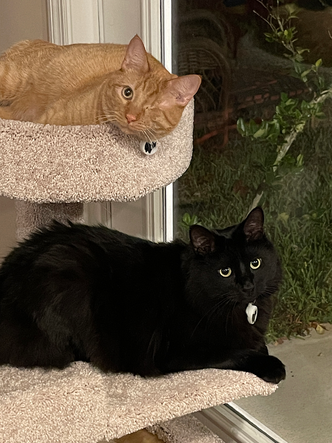 Pixel (top) and Lunar (bottom)