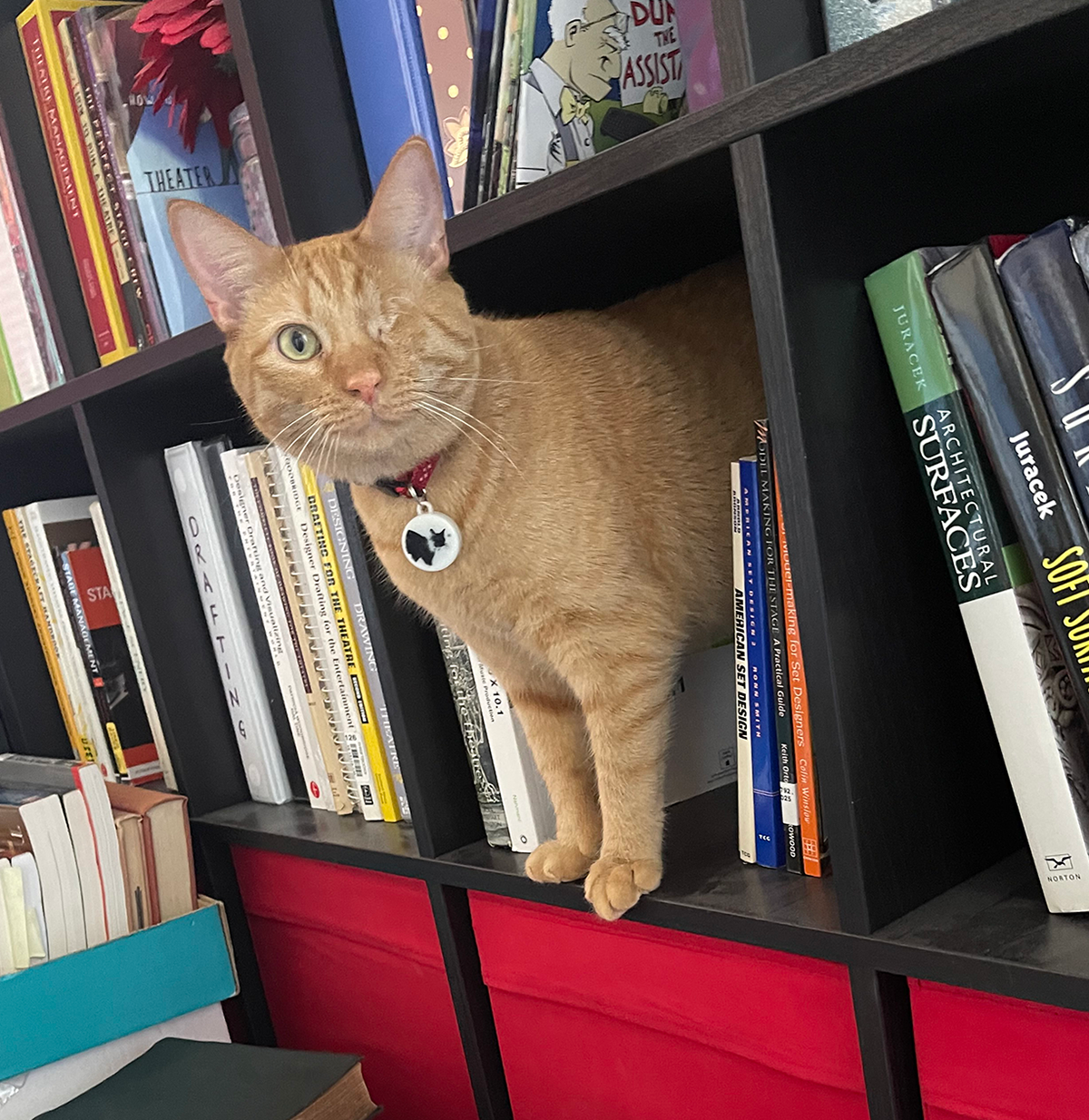 Pixel