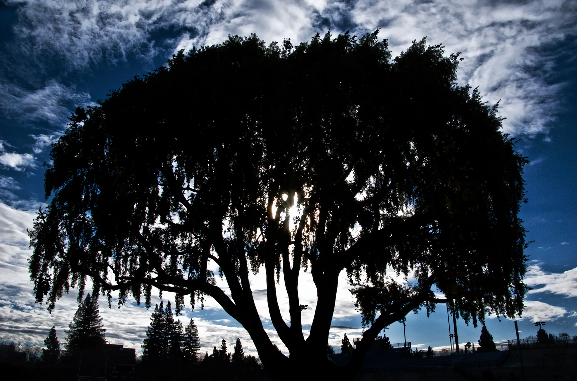 Mountain View, CA