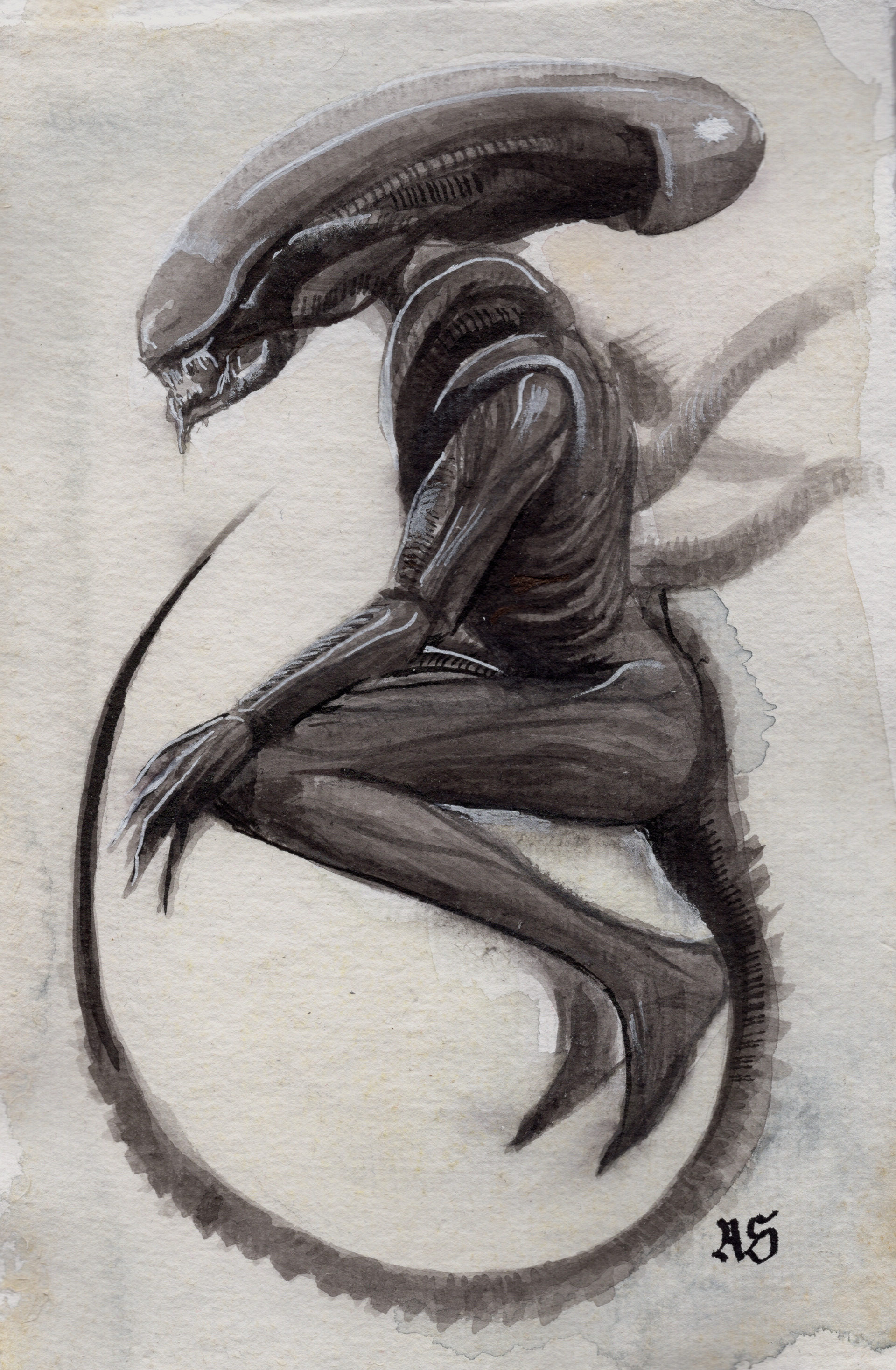 Xenomorph, 2020