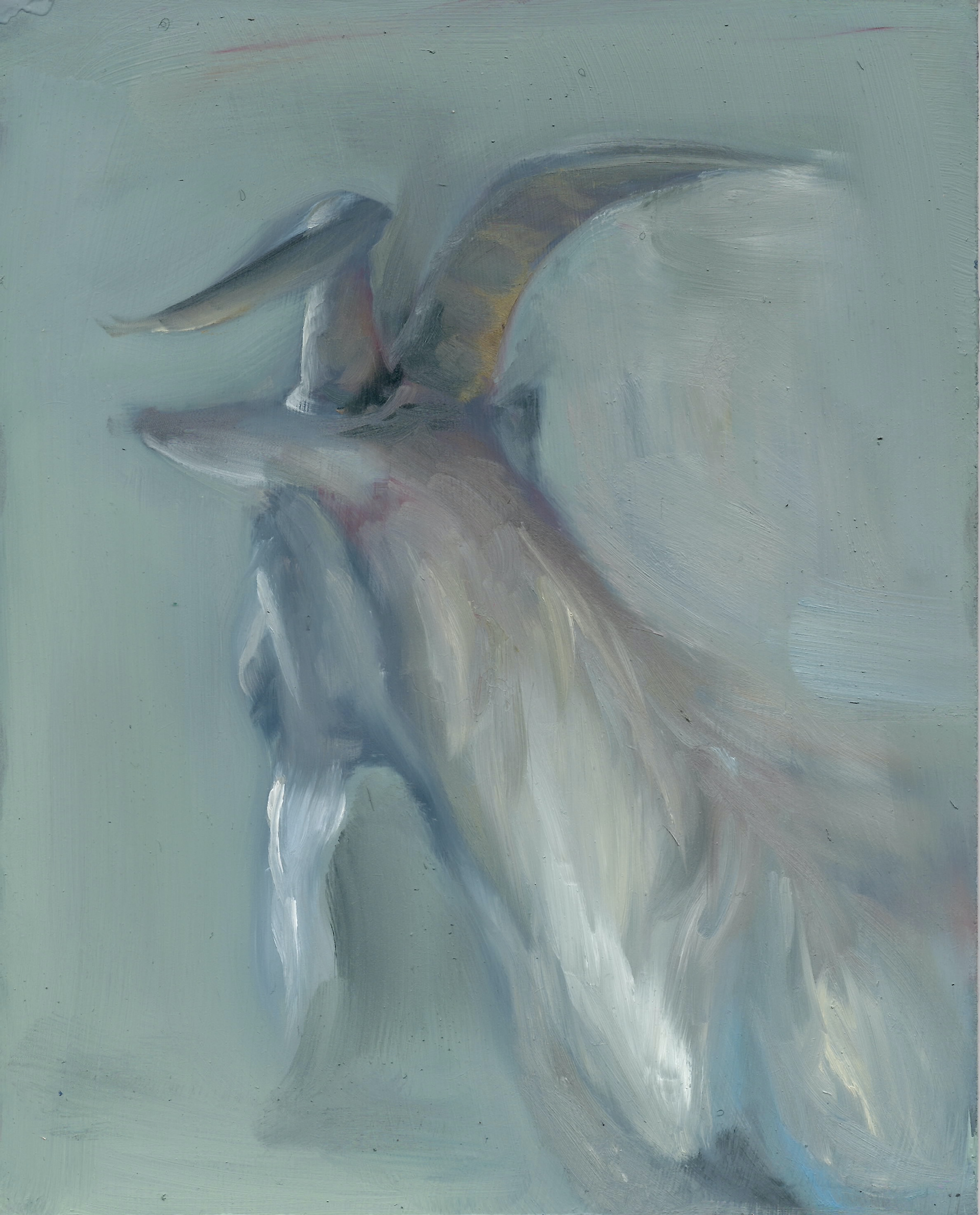 The White Goat, 2017