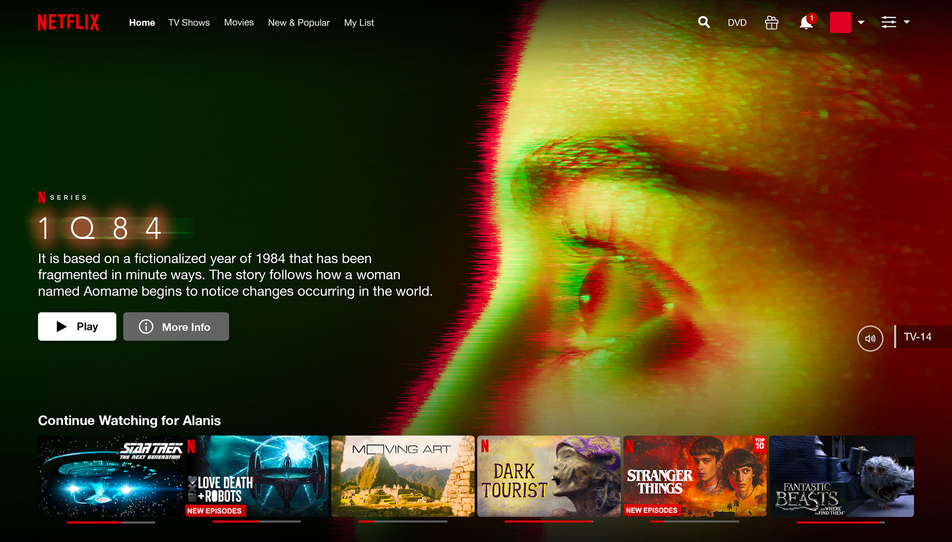 NETFLIX HOMESCREEN