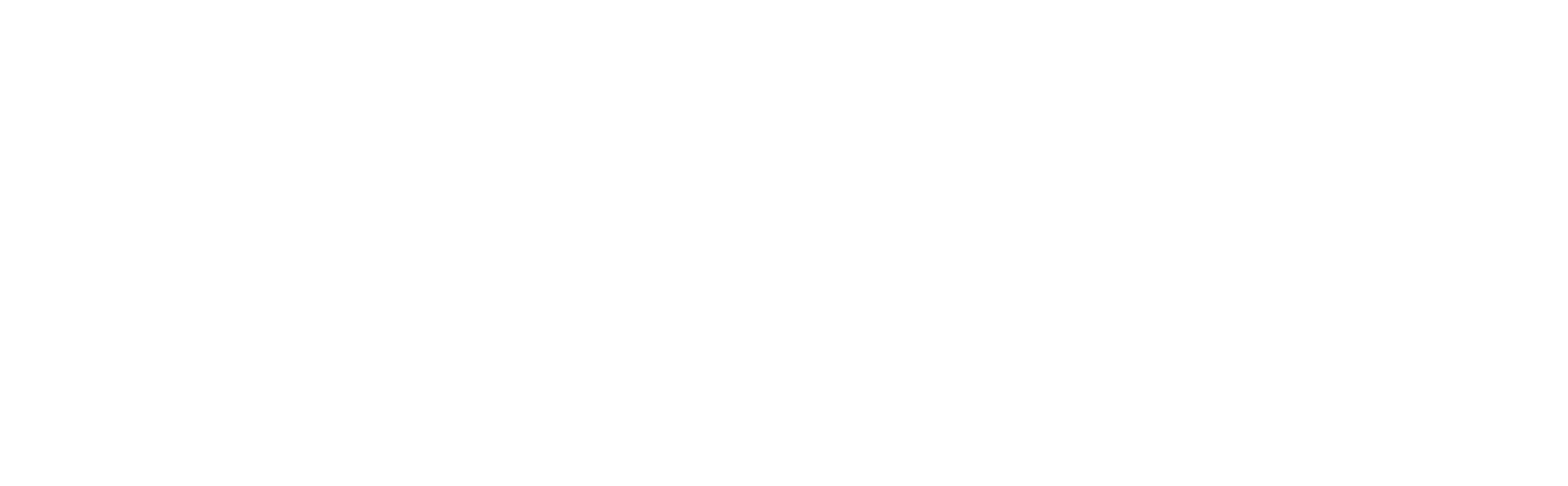 Maísa Borges