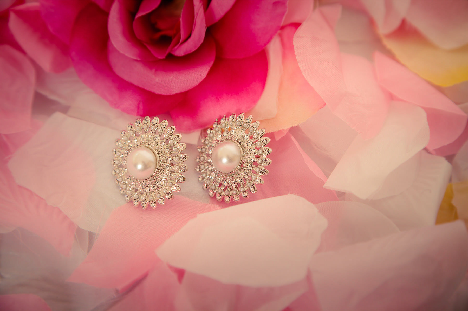 Iconic Pictures South Asian Wedding Photographer, Vancouver, BC