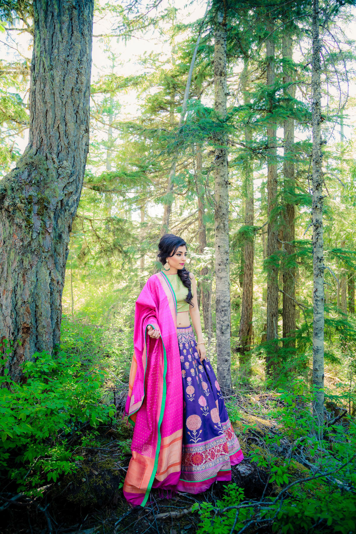 Iconic Pictures South Asian Wedding Photographer, Vancouver, BC