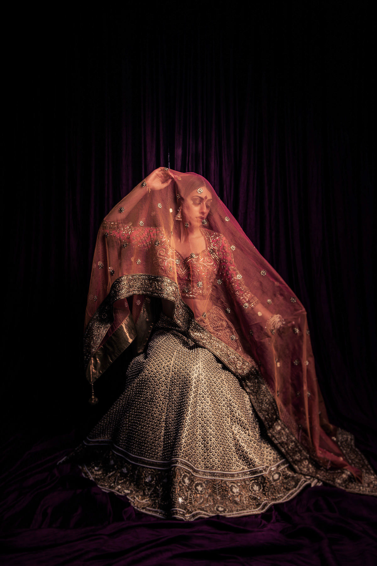 Iconic Pictures South Asian Wedding Photographer, Vancouver, BC