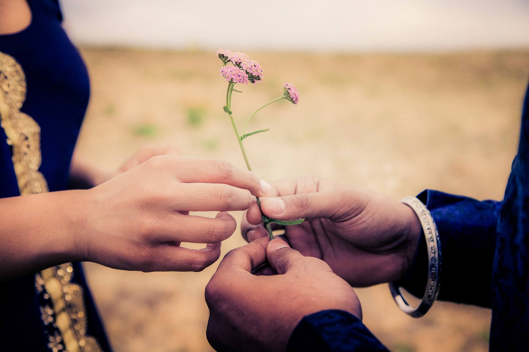 Iconic Pictures South Asian Wedding Photographer, Vancouver, BC