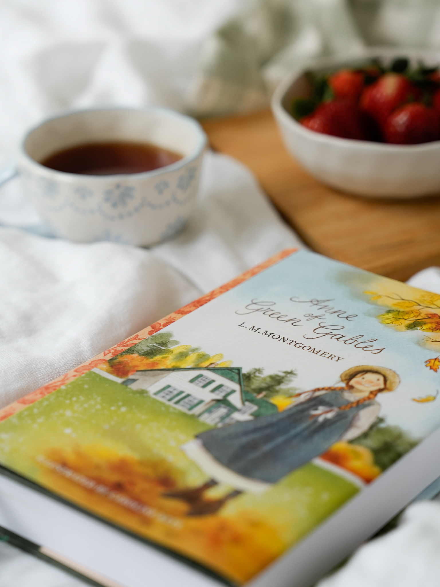 Book Photography for Hipkiss Publishing House