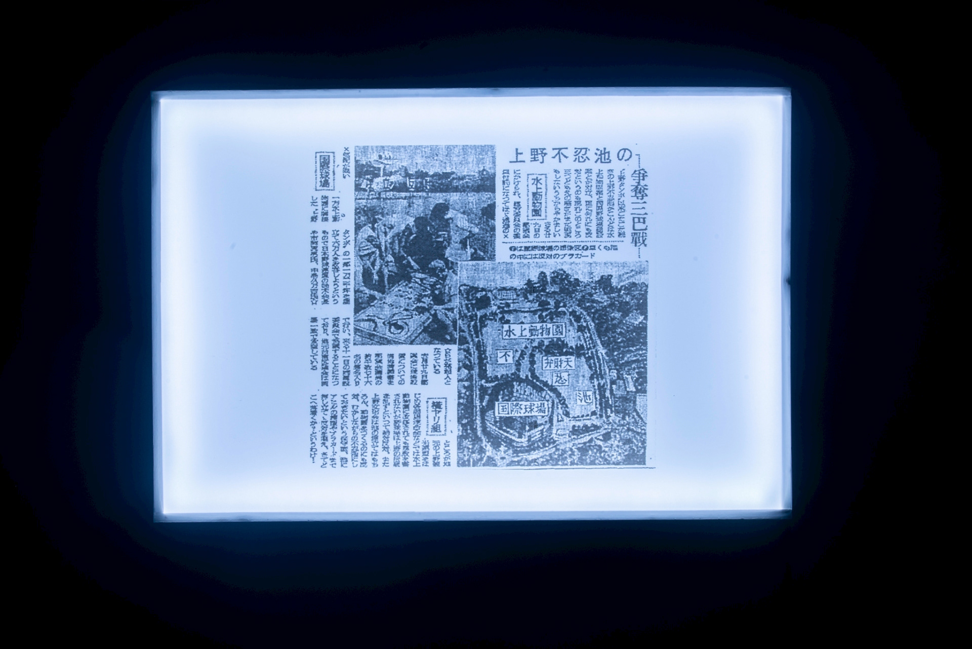 読売新聞　朝刊 1949年8月5日より