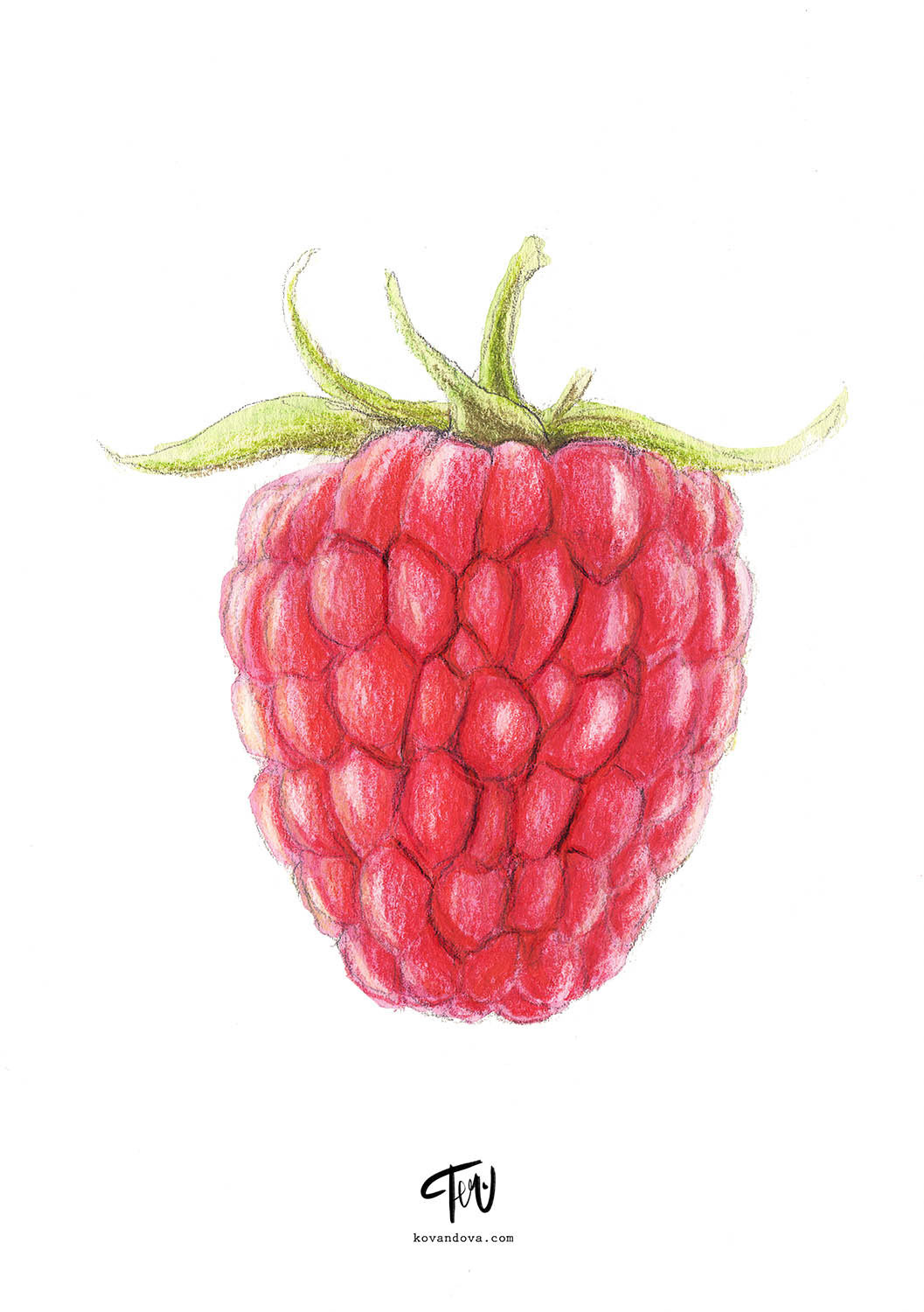 Product illustration
