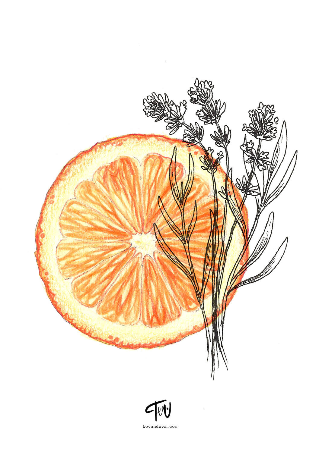 Product illustration