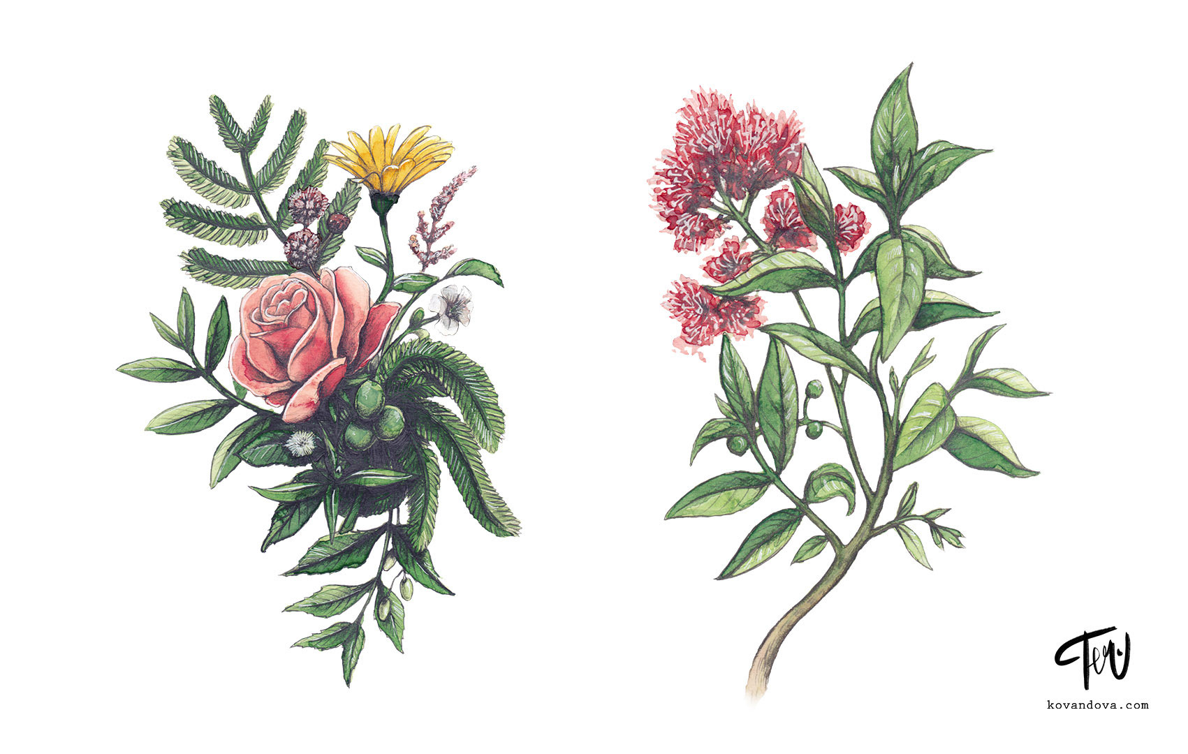 Product illustration
