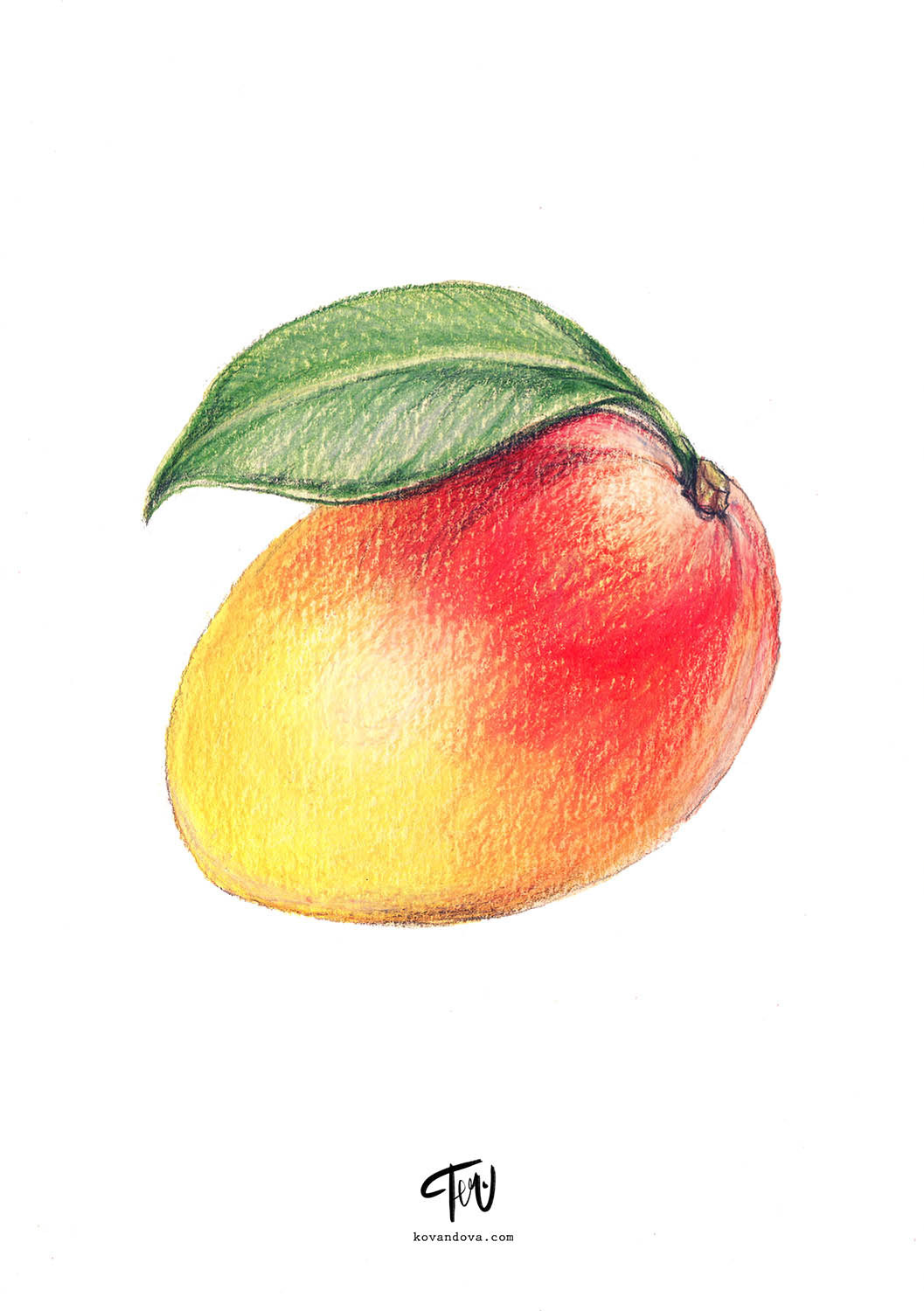 Product illustration