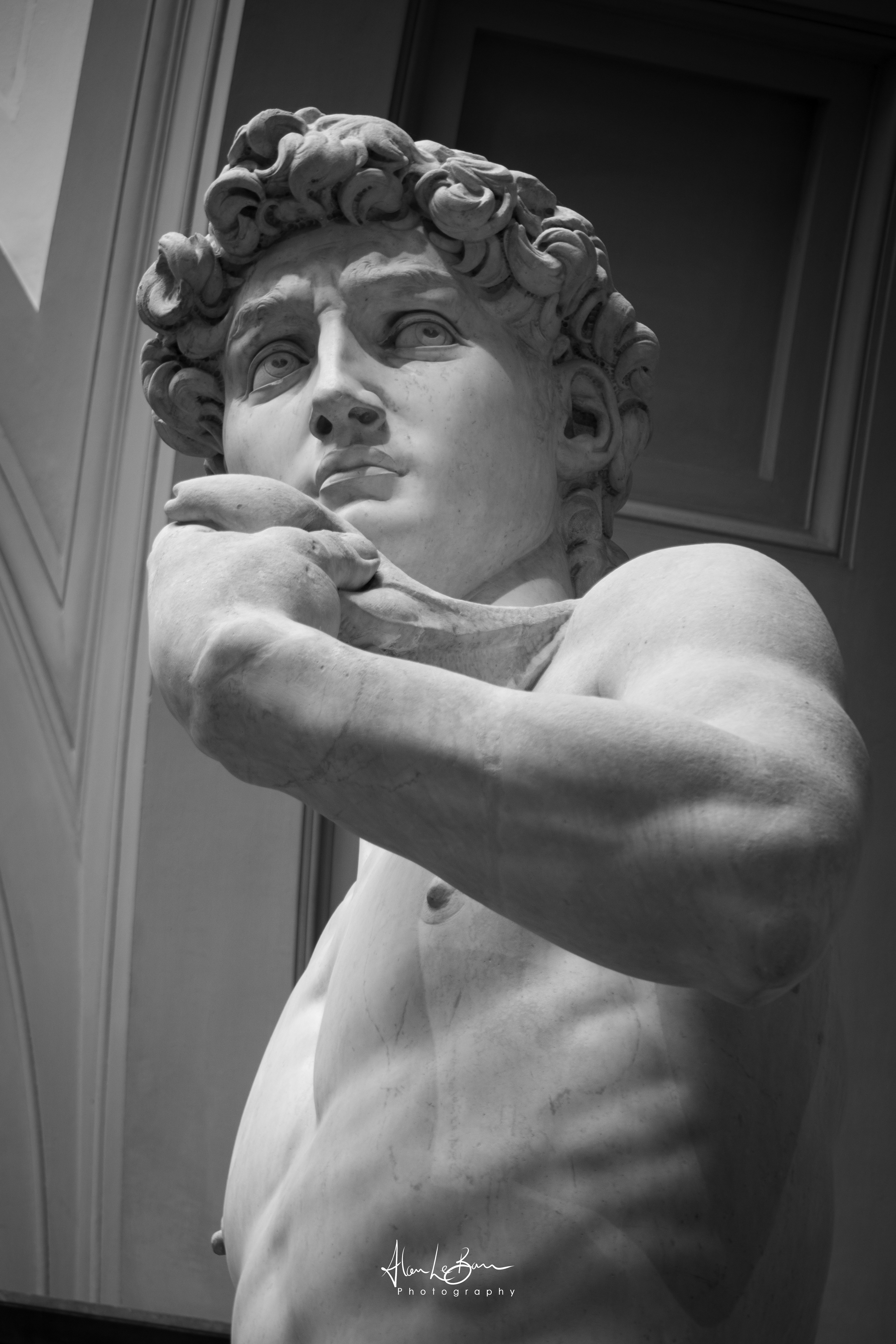 David by Michelangelo