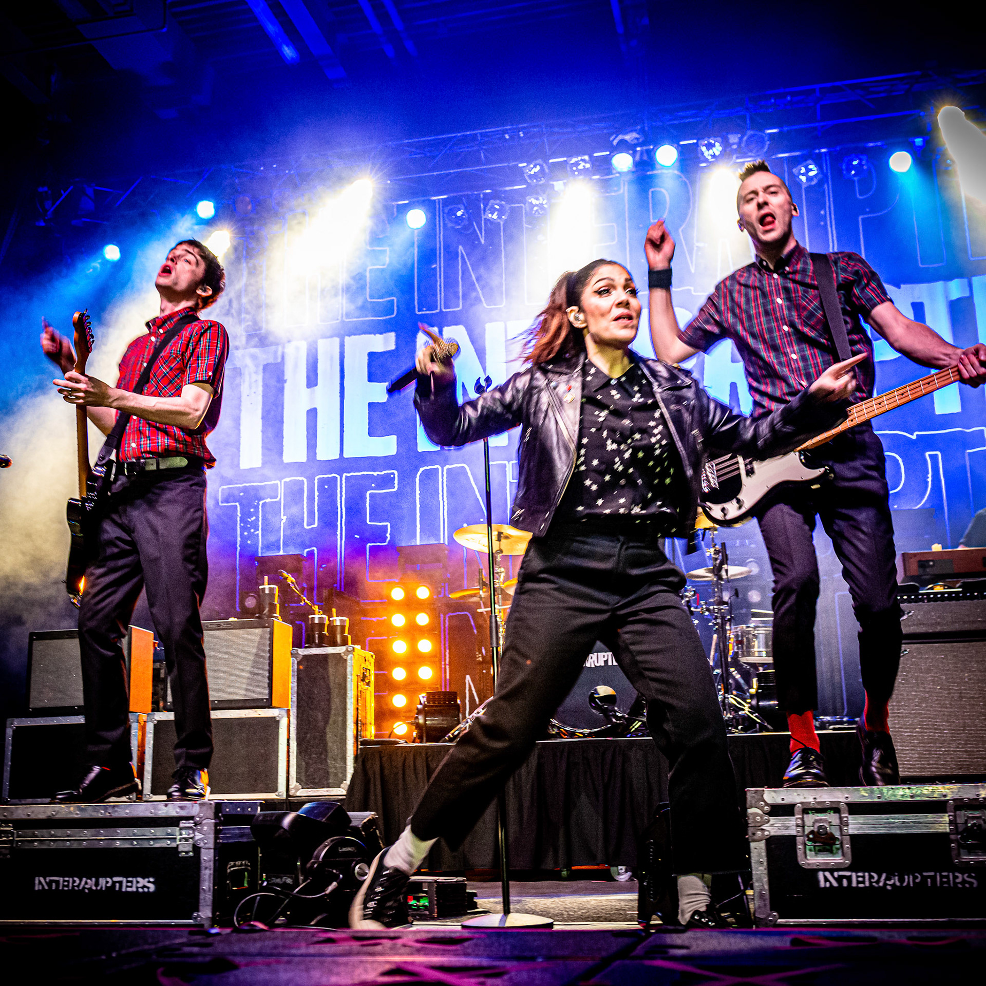 The Interruptors