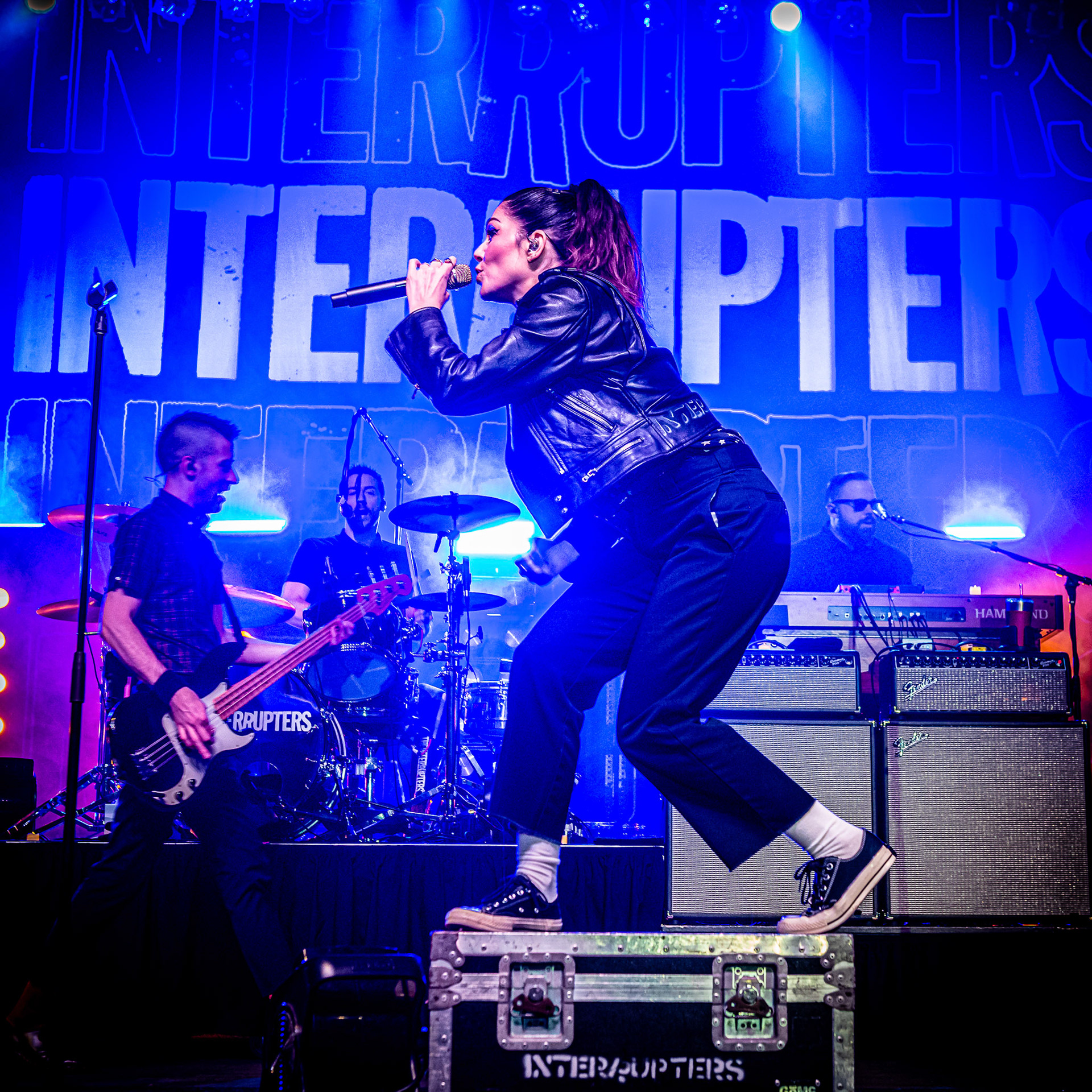 The Interruptors