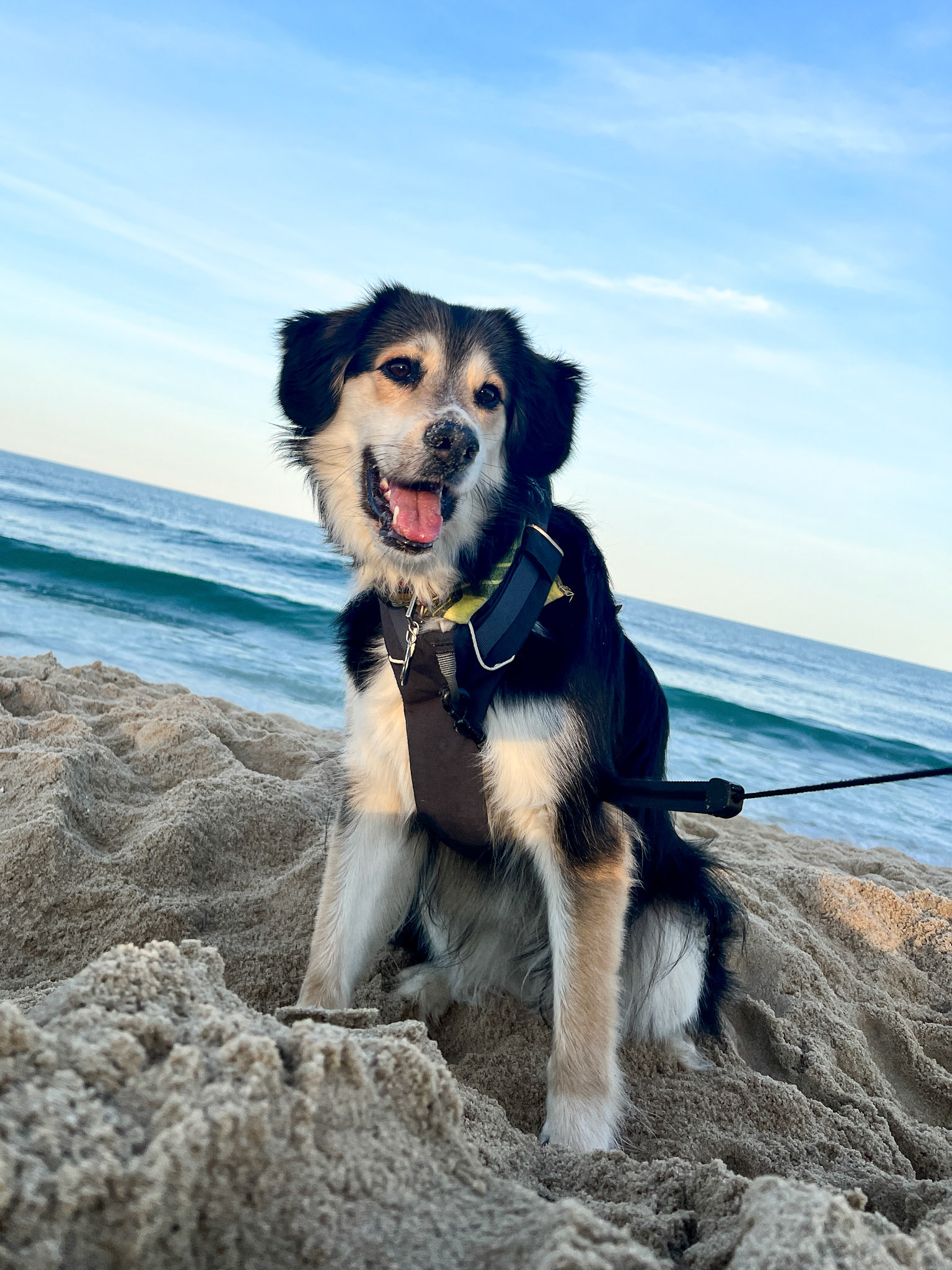 July 5, 2020 - Ocean City, Maryland.  Who rescued whom?