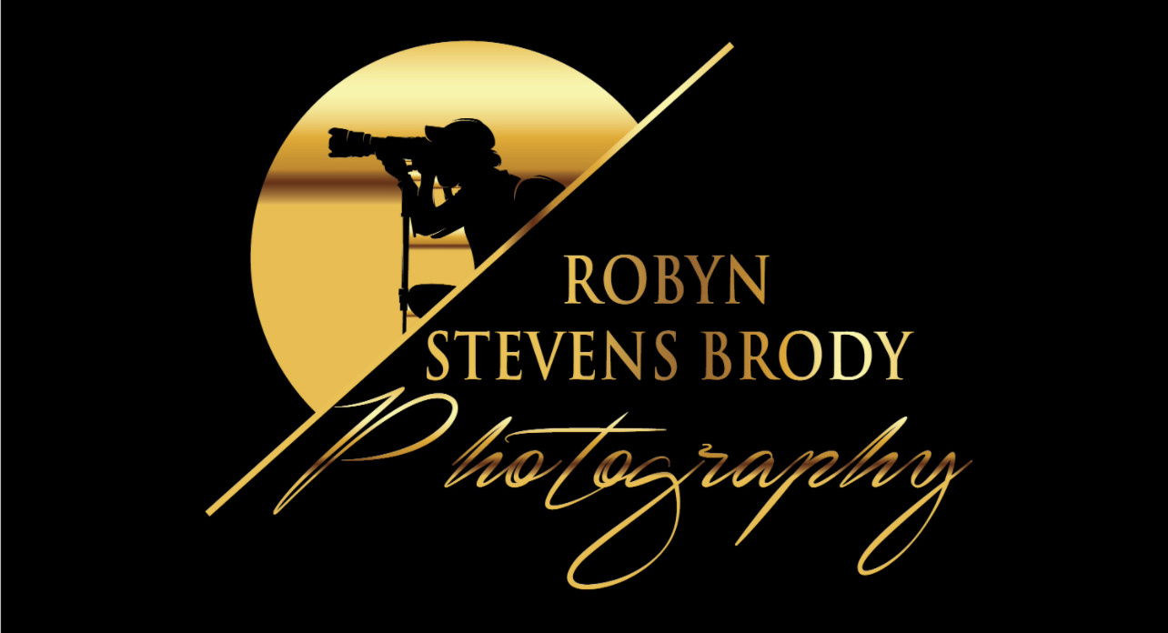 Robyn Stevens Brody