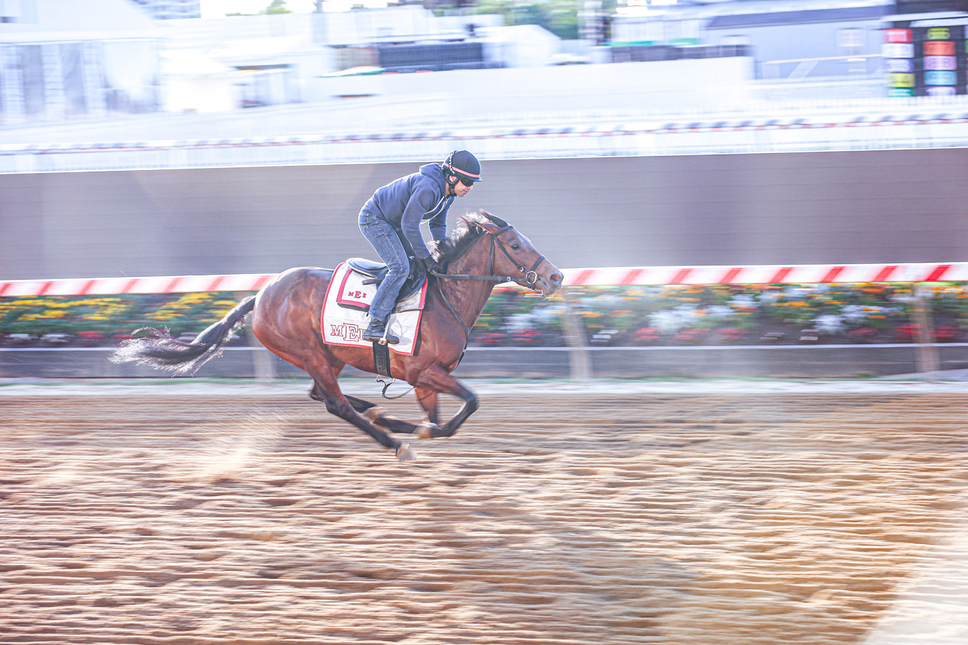 May 18, 2022 - Baltimore, MD. Ahead of the 147th Preakess Stakes, horses practice running the track.