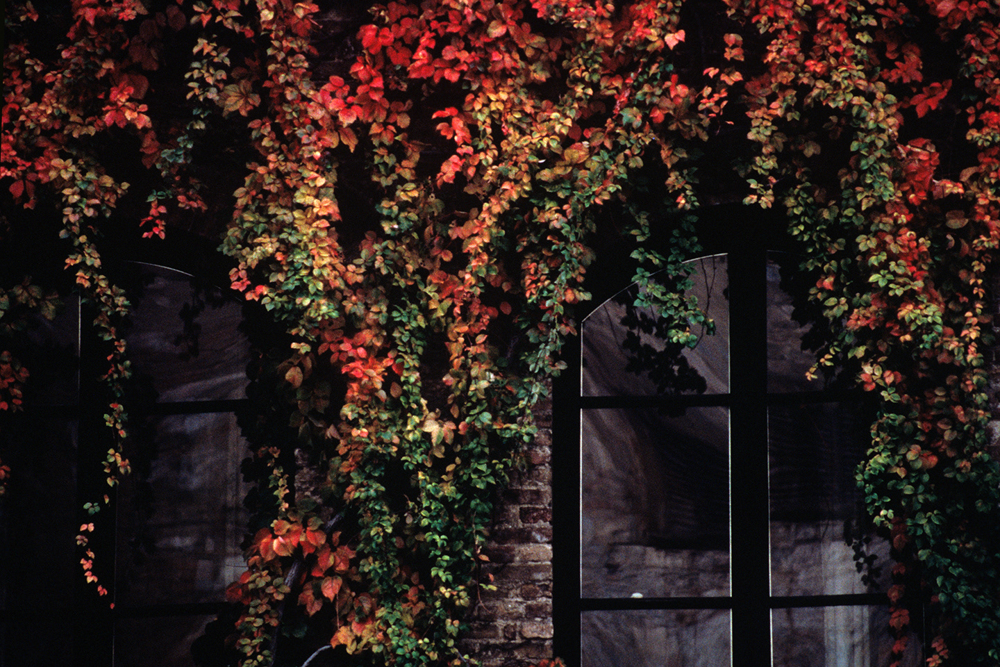 Autumn