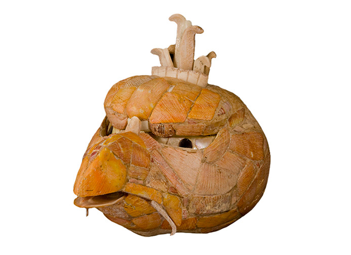 Museo Palacio Cantón