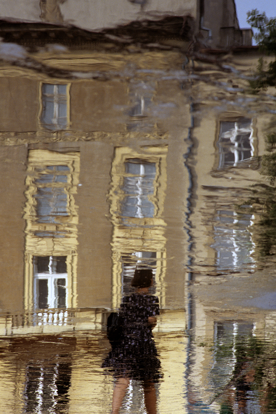 Reflection