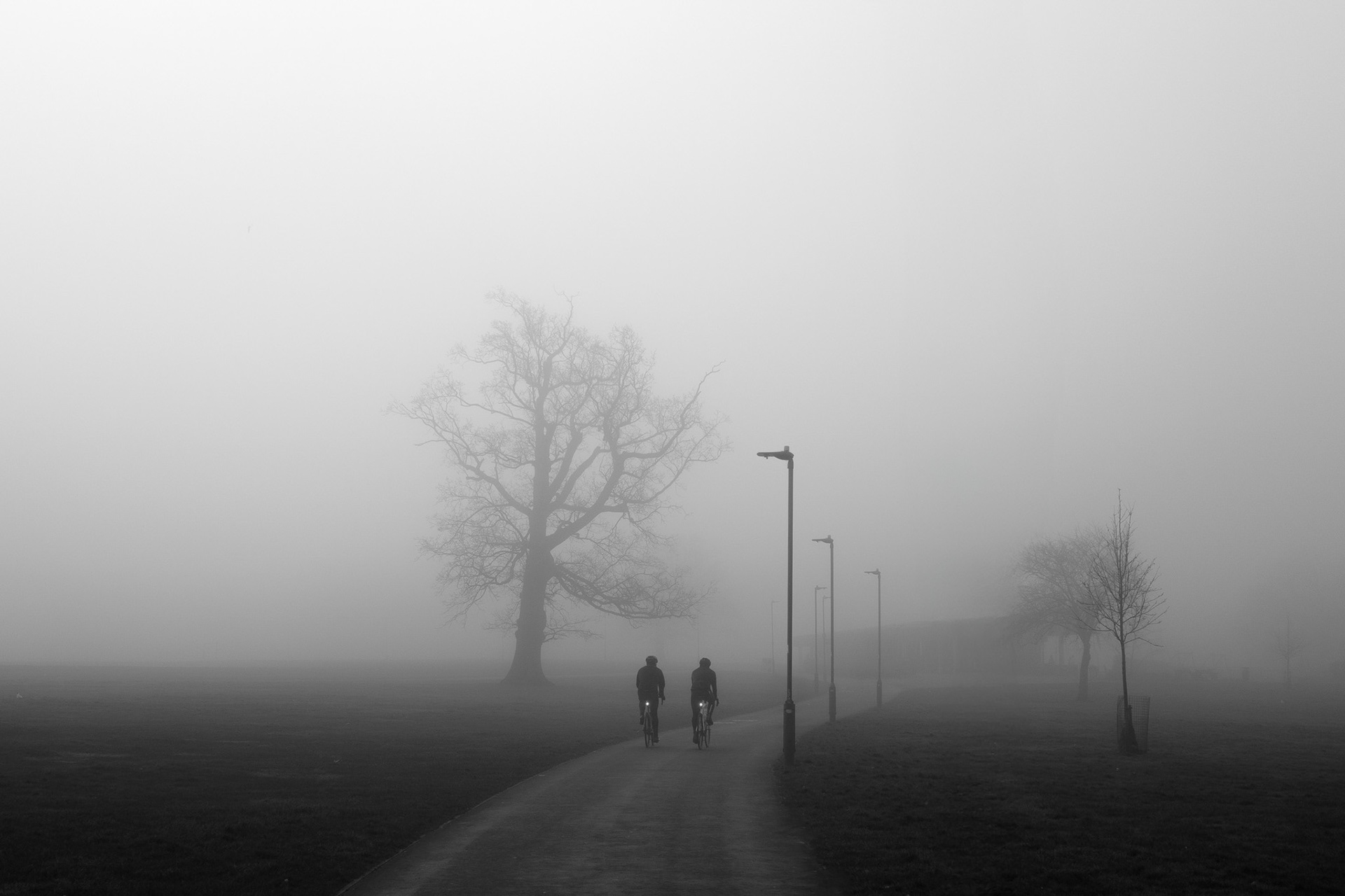 Cyclists riding through thick fog in a London park.