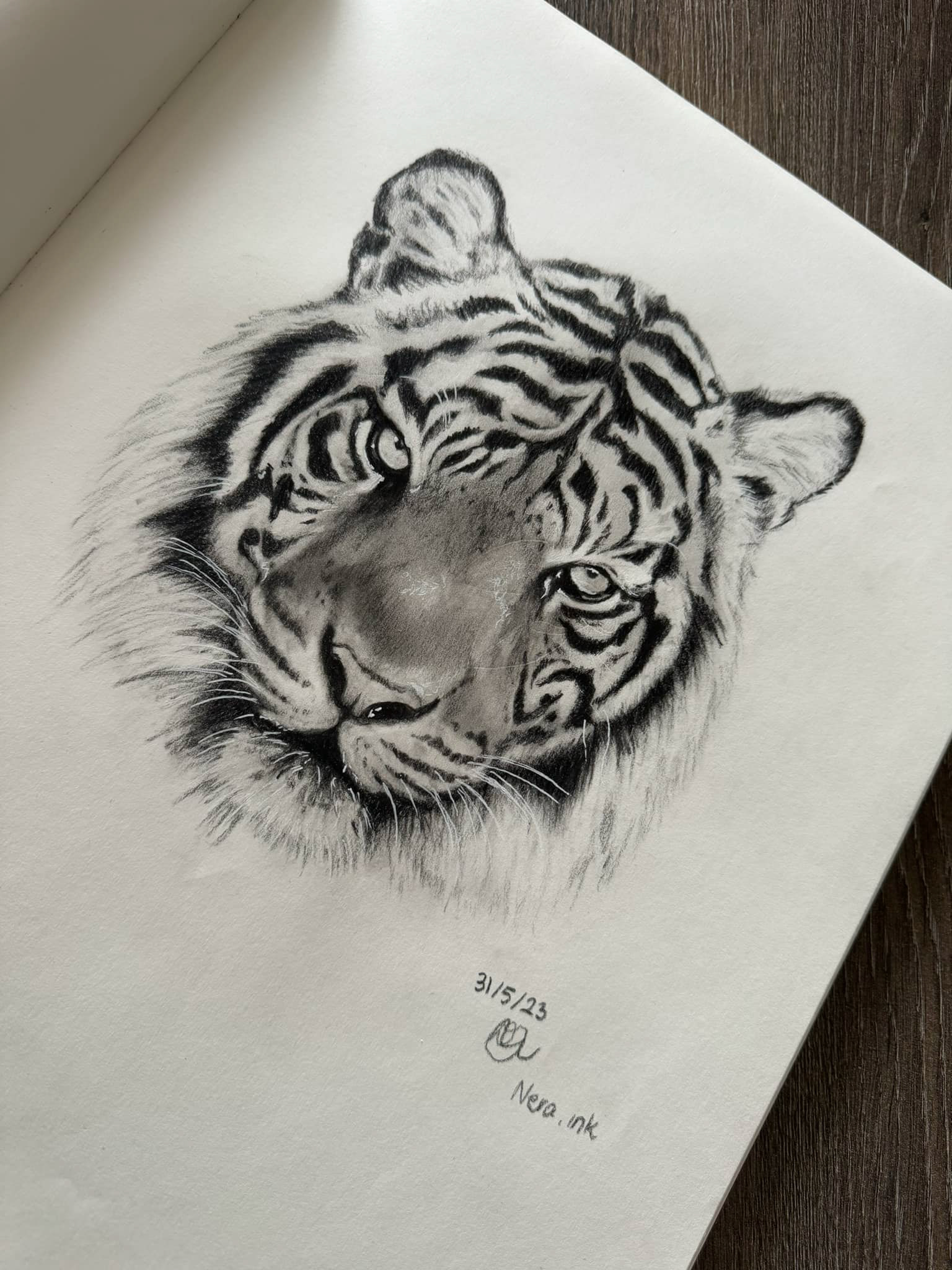 Tijger ( grafiet & houtskool )