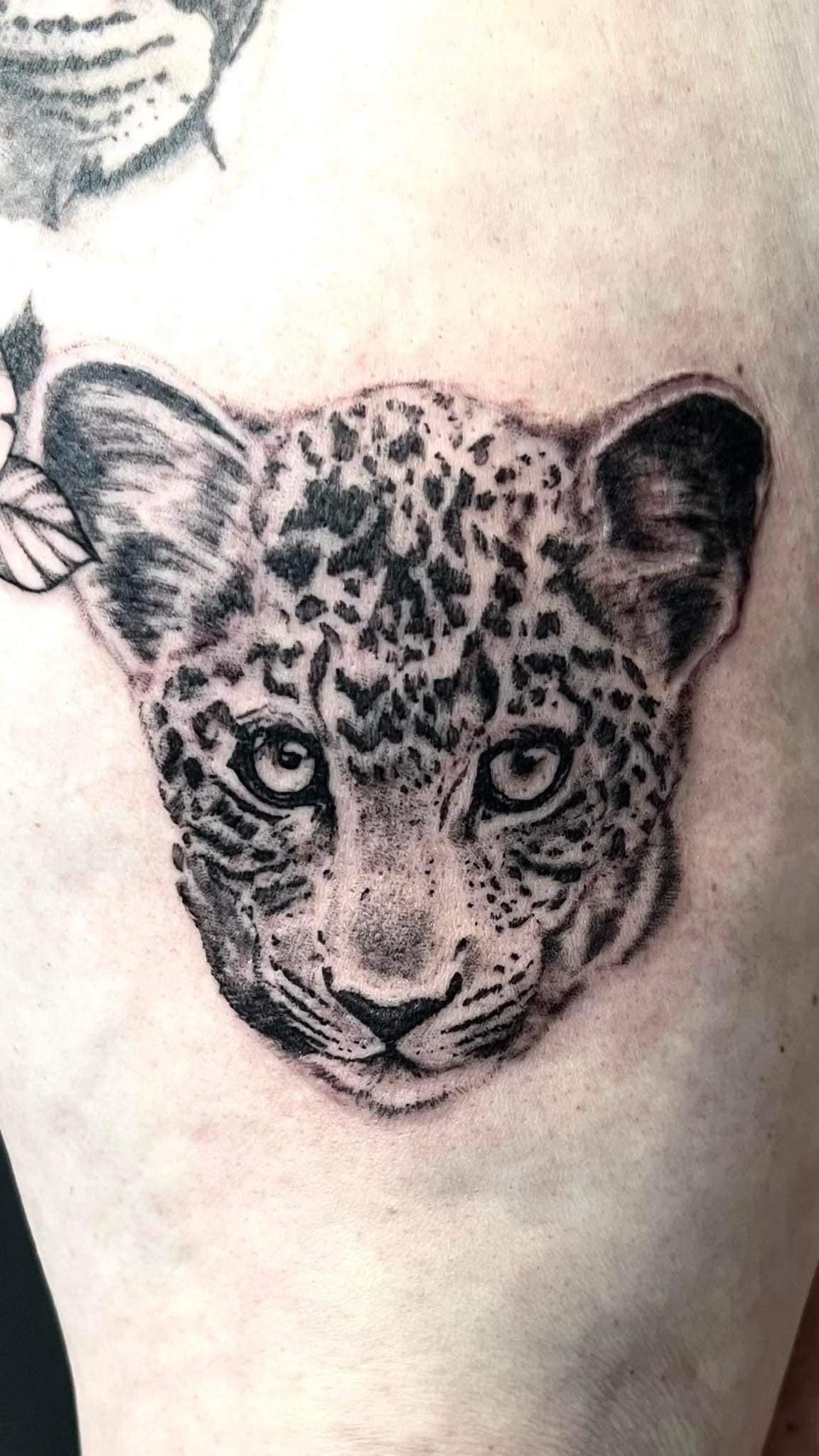 Panter welp