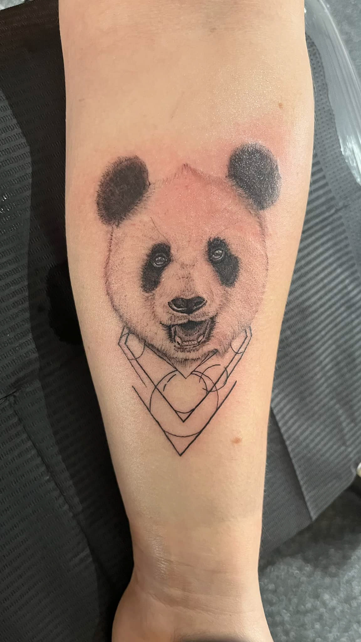 Panda met geometrie
