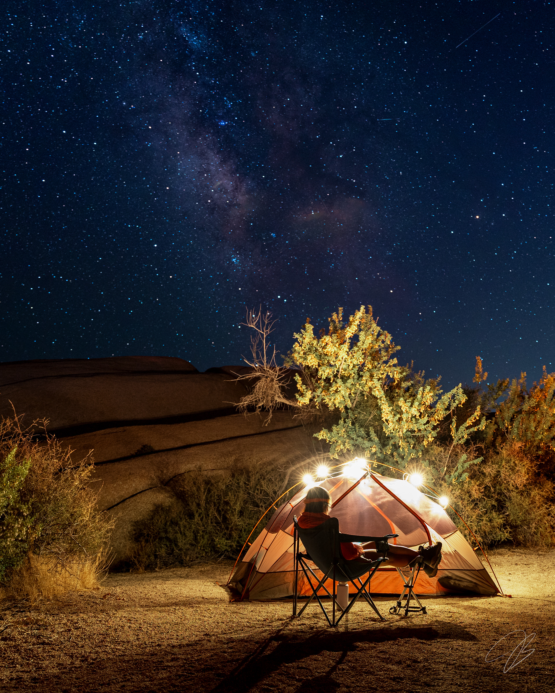 Joshua Tree National Park