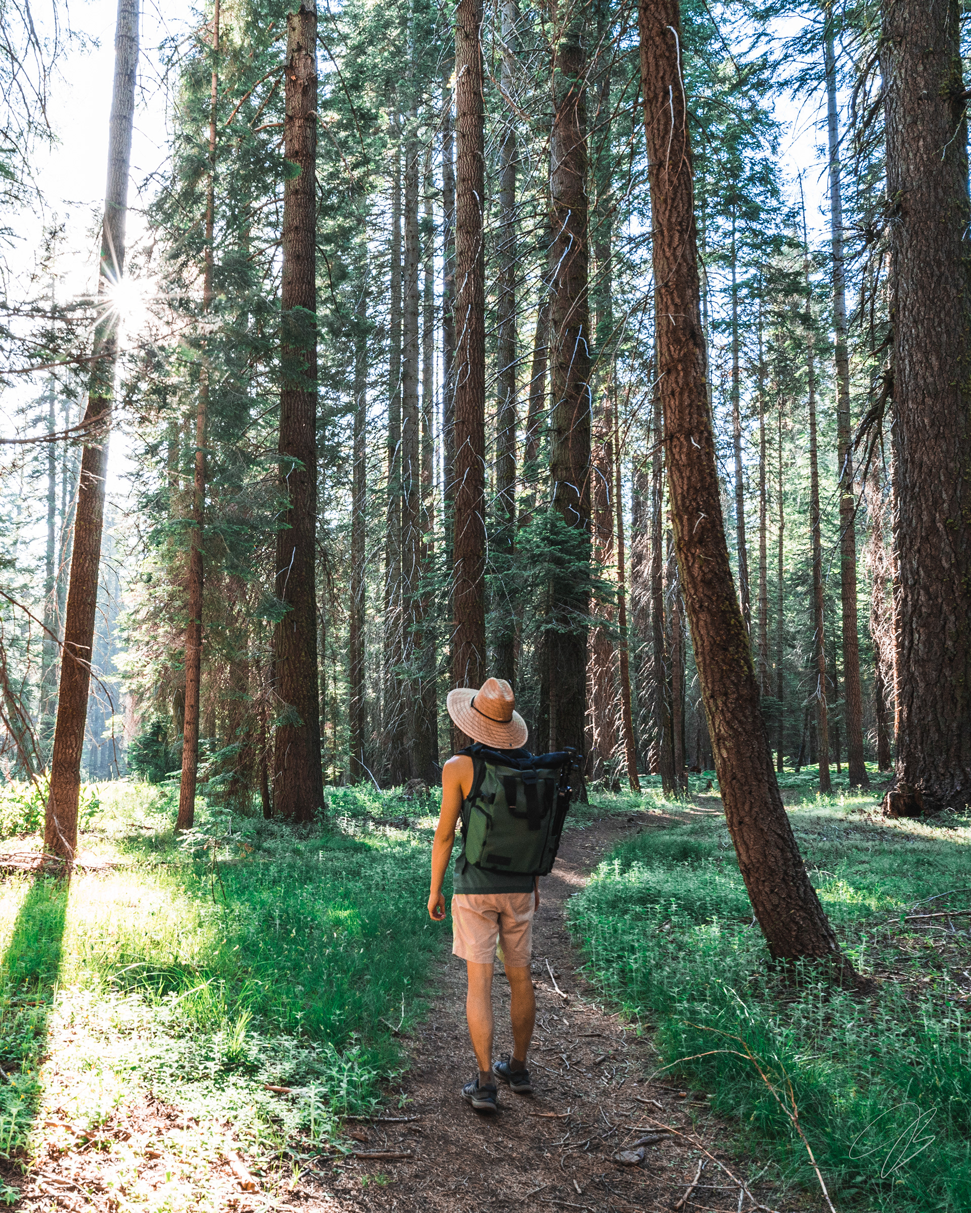 Sequoia National Park