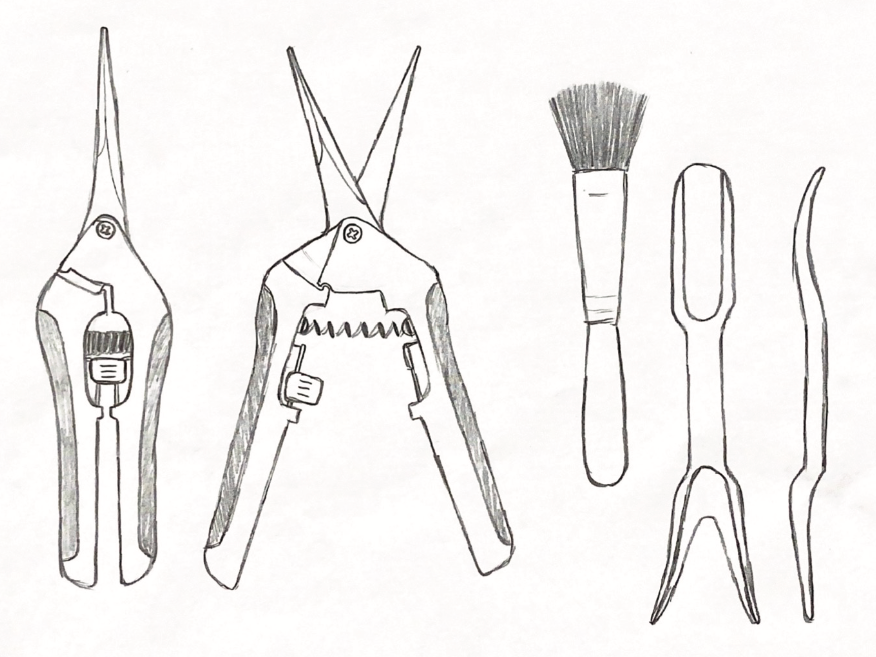 ideation sketches