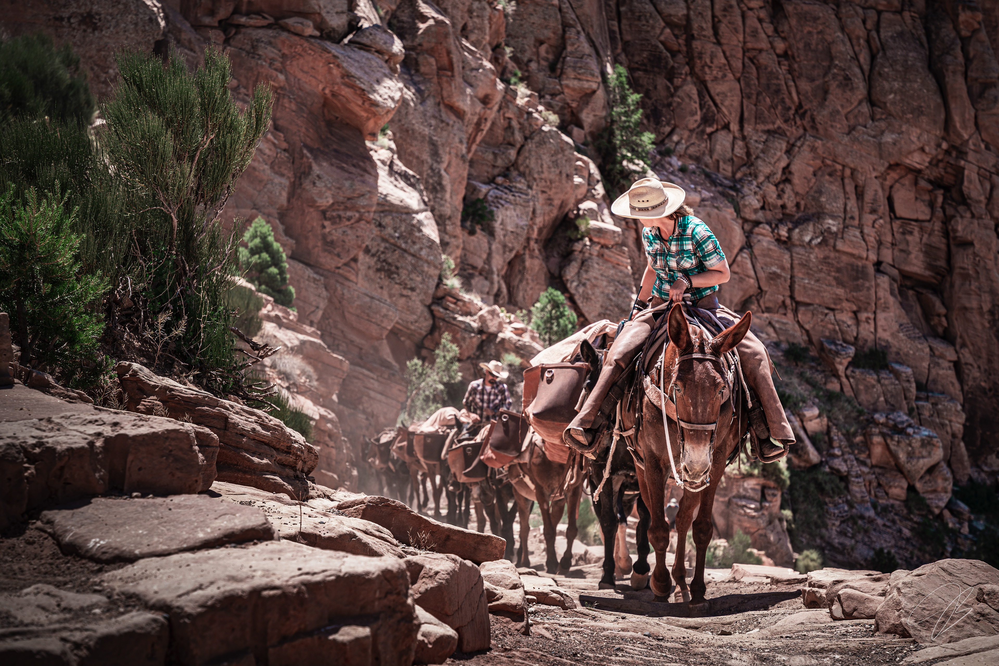 Grand Canyon National Park