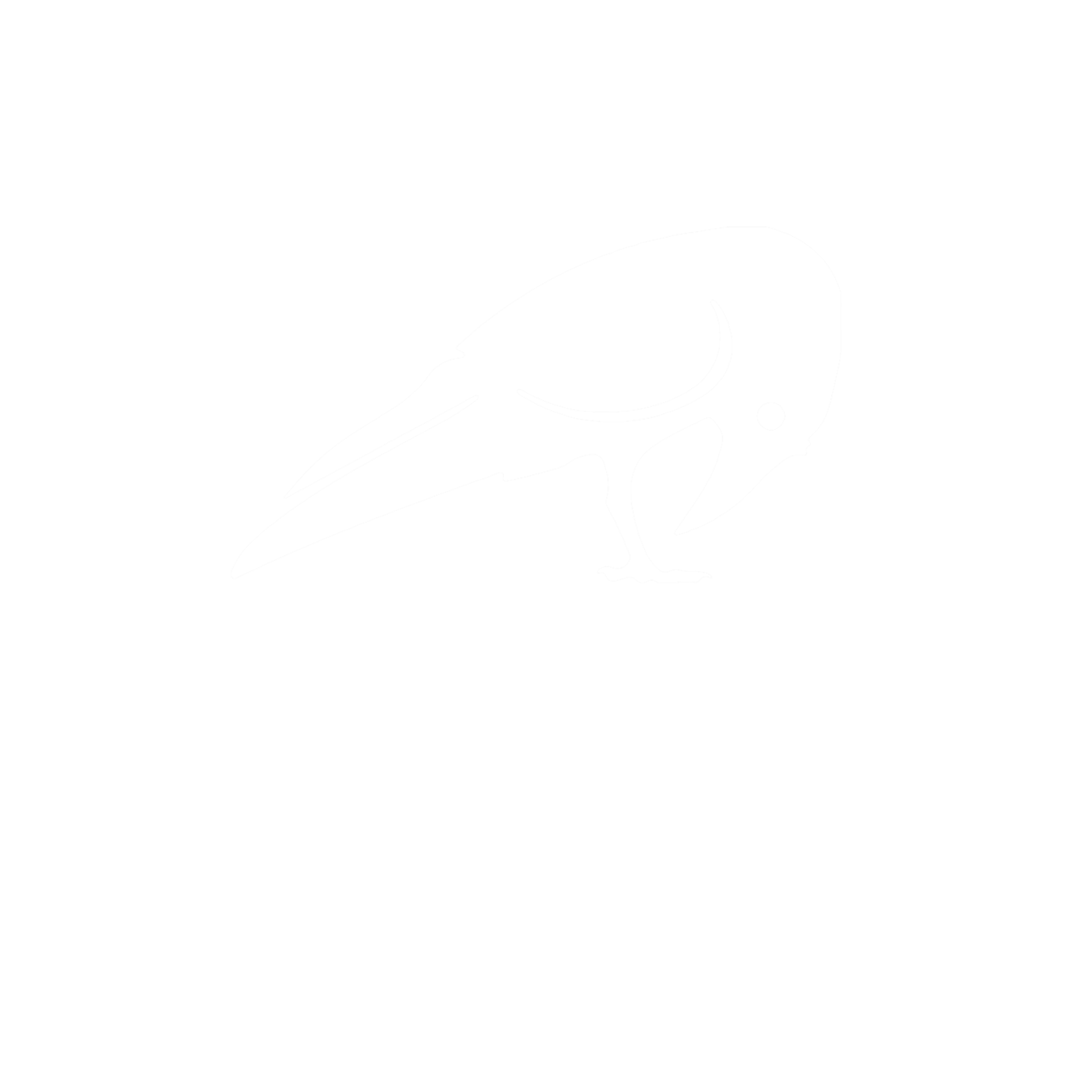 RAVEN COMPANY