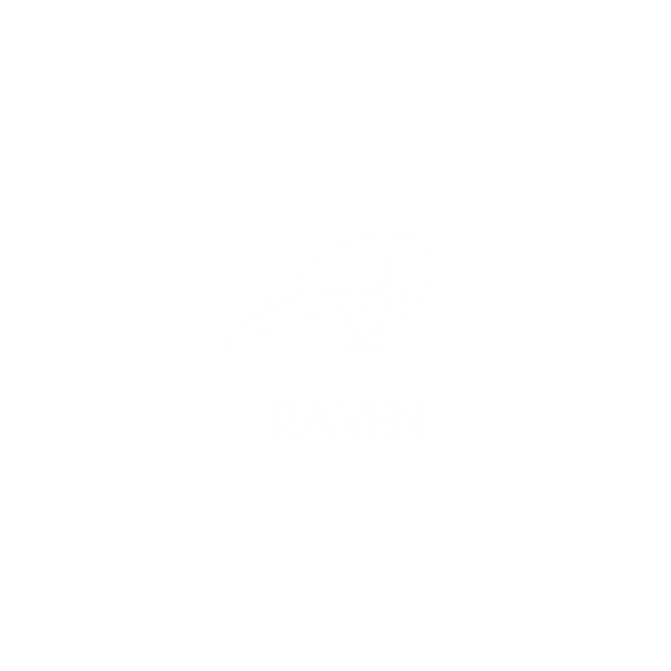 RAVEN COMPANY