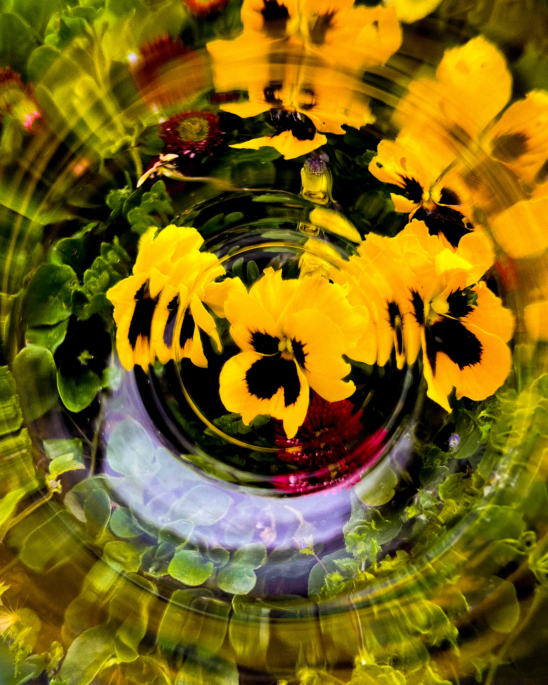 "the title could be your name"