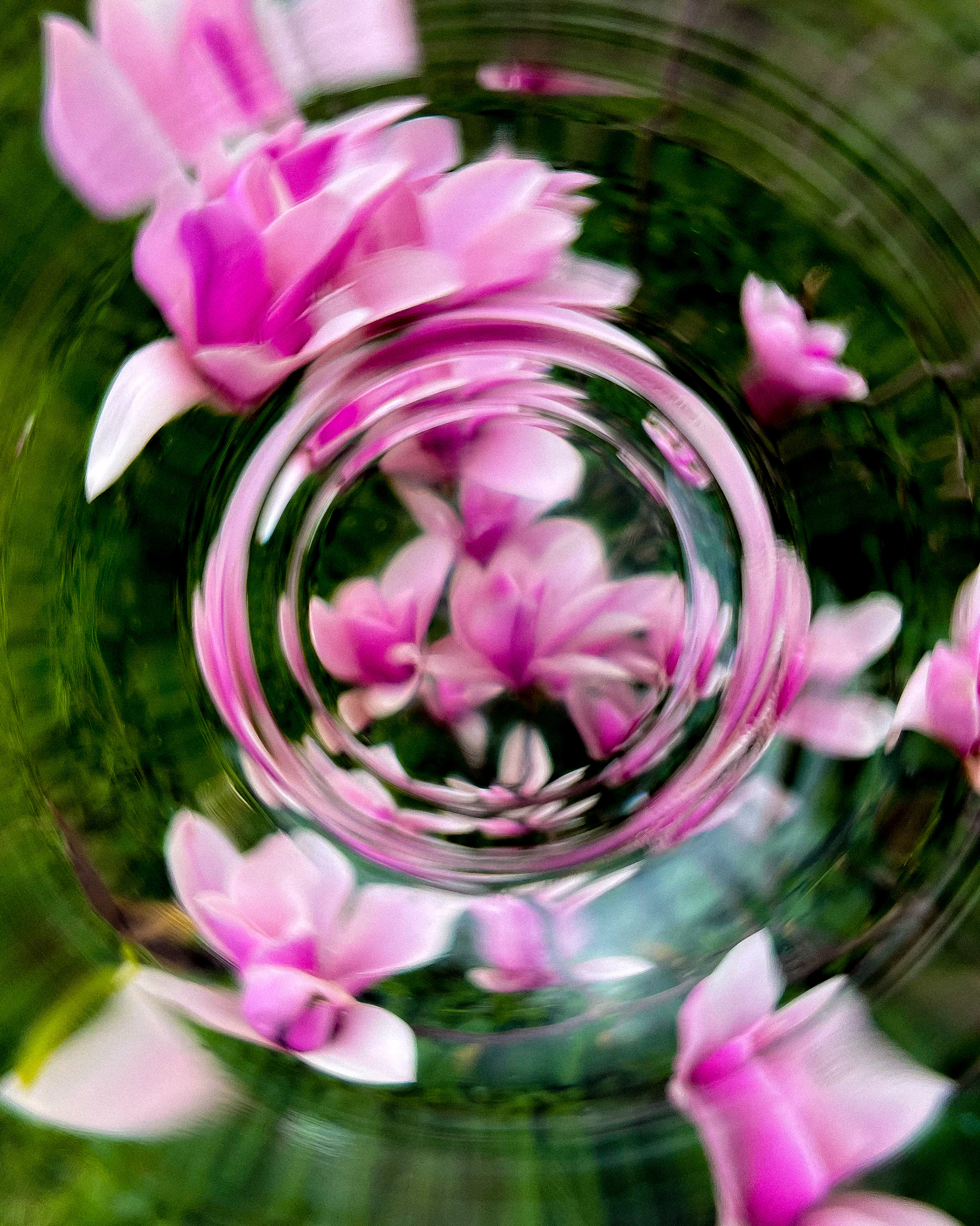 "the title could be your name"