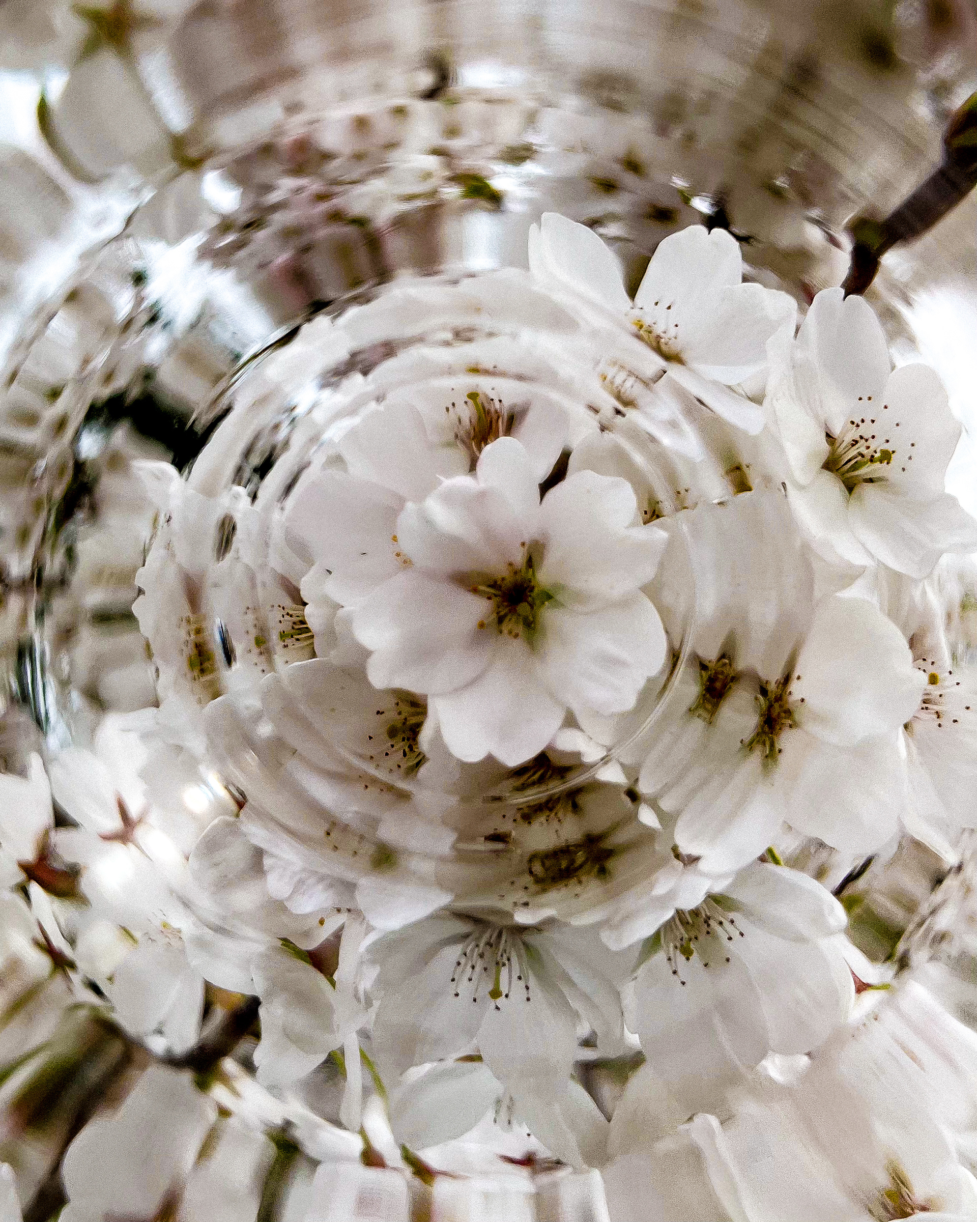 "the title could be your name"