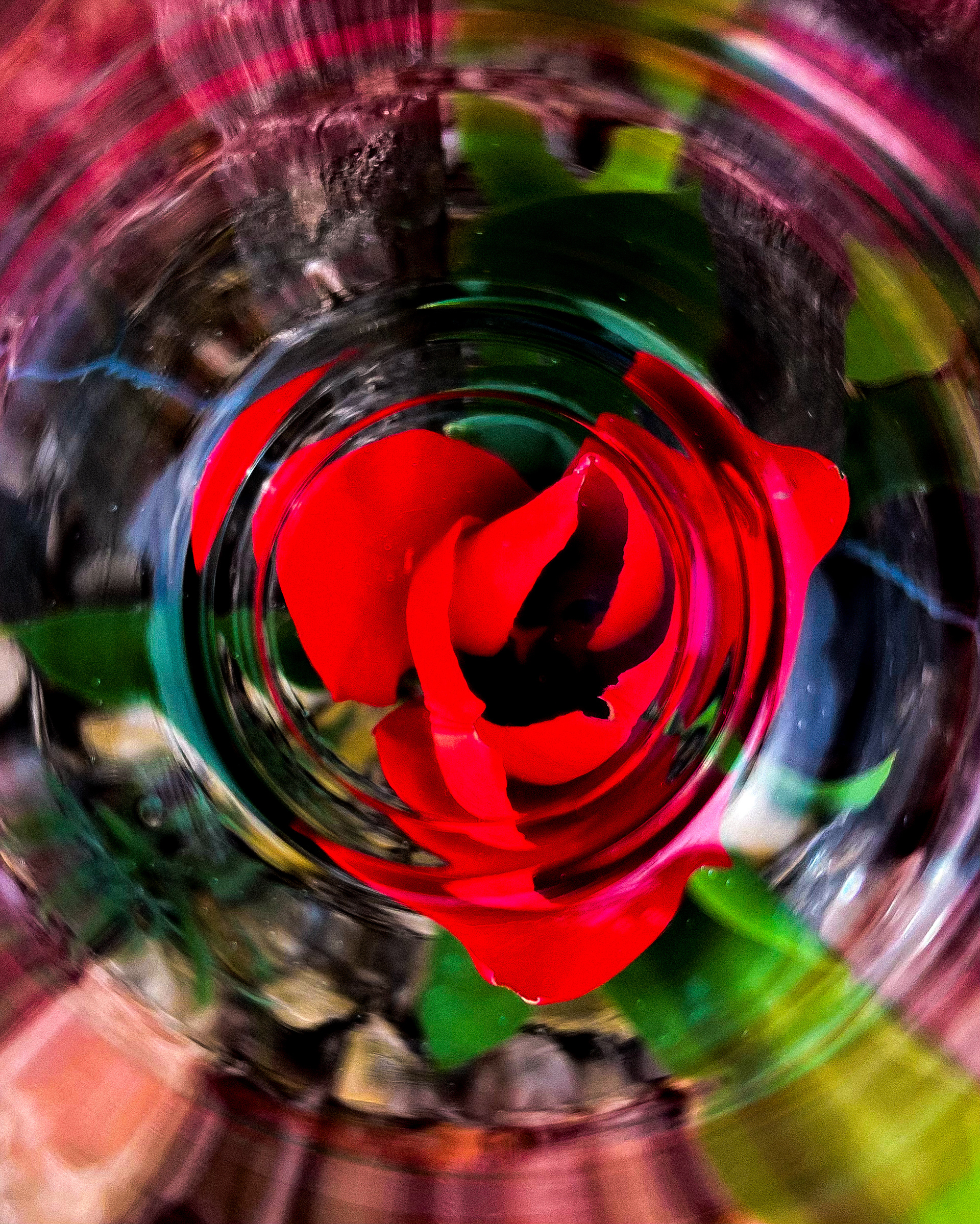 "the title could be your name"