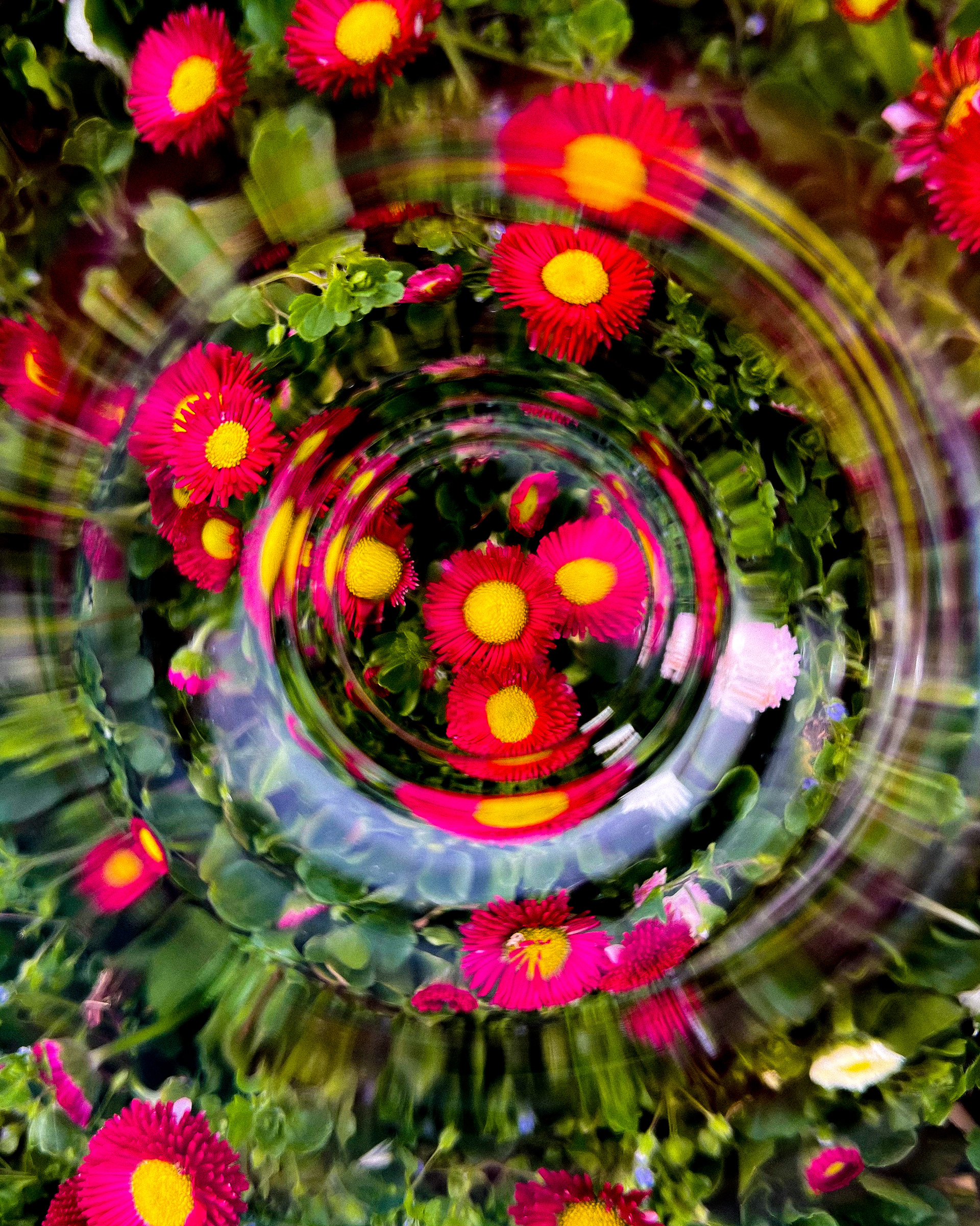 "the title could be your name"