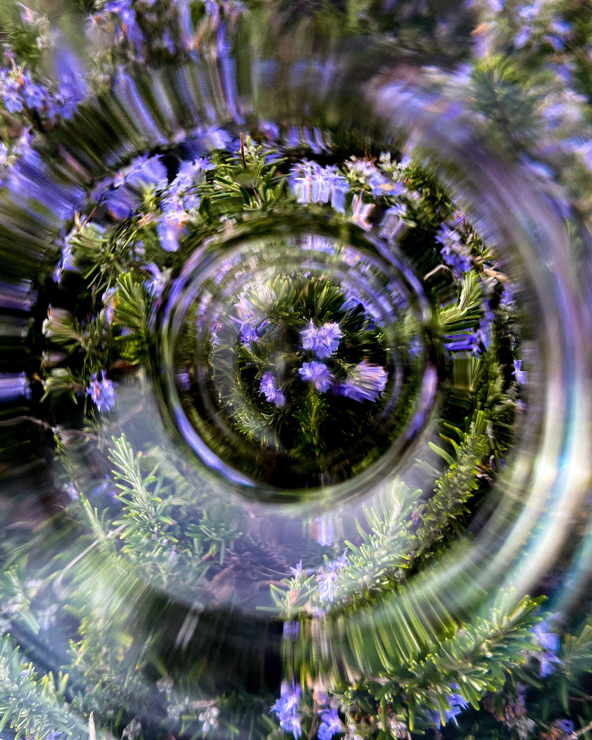 "the title could be your name"