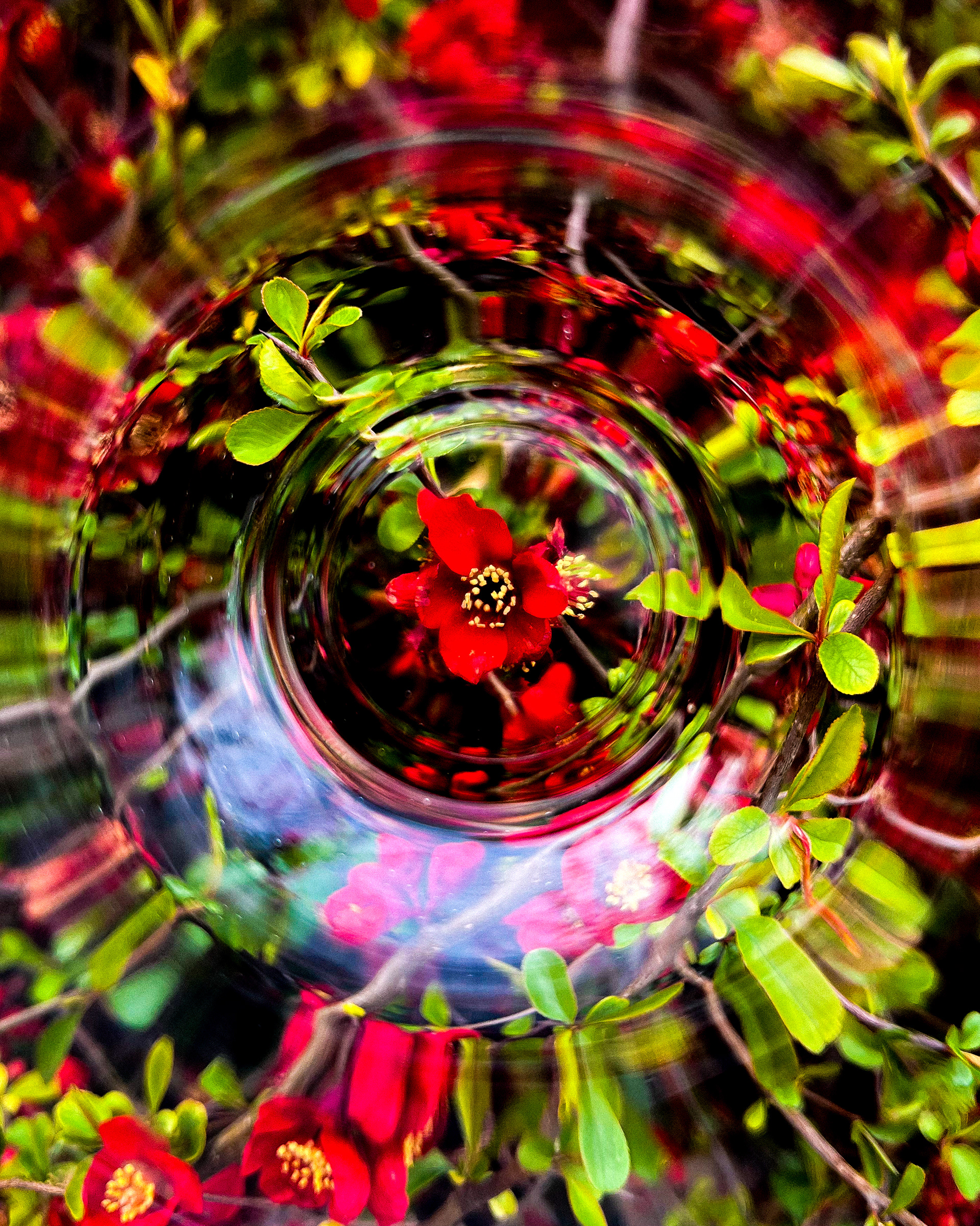 "the title could be your name"