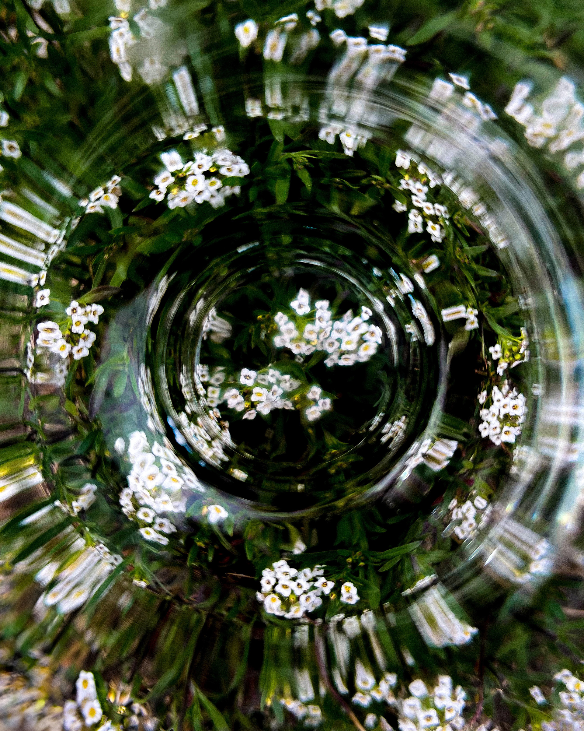 "the title could be your name"