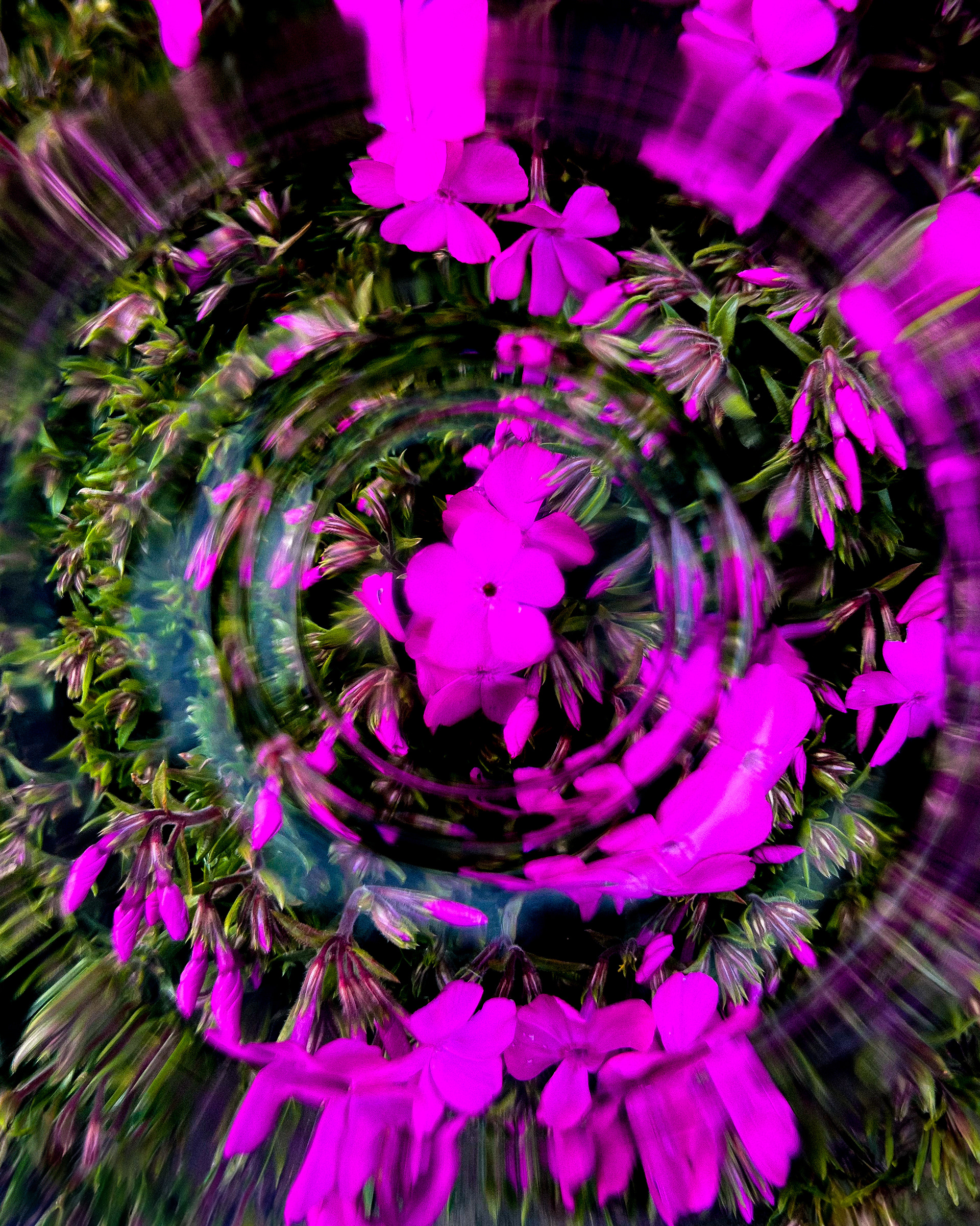 "the title could be your name"