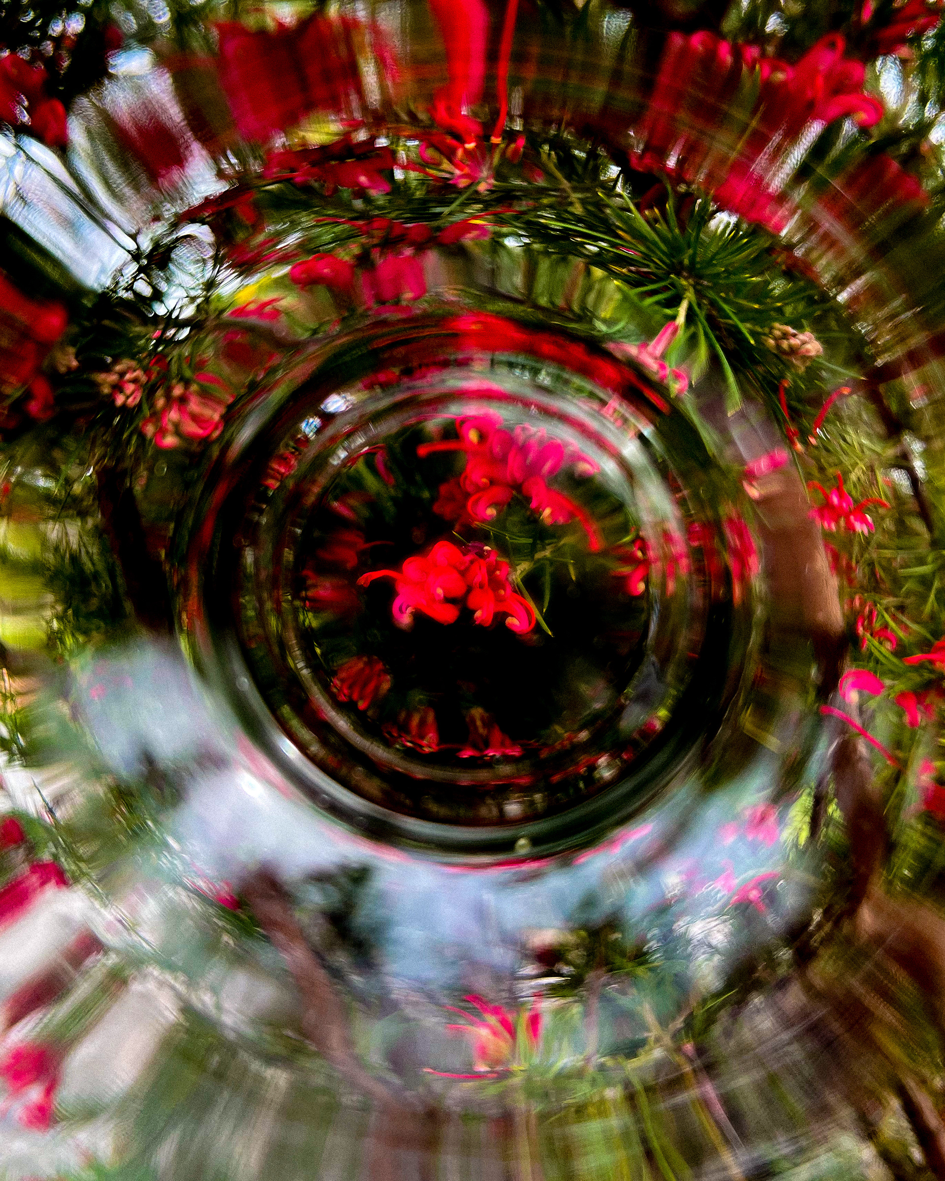 "the title could be your name"