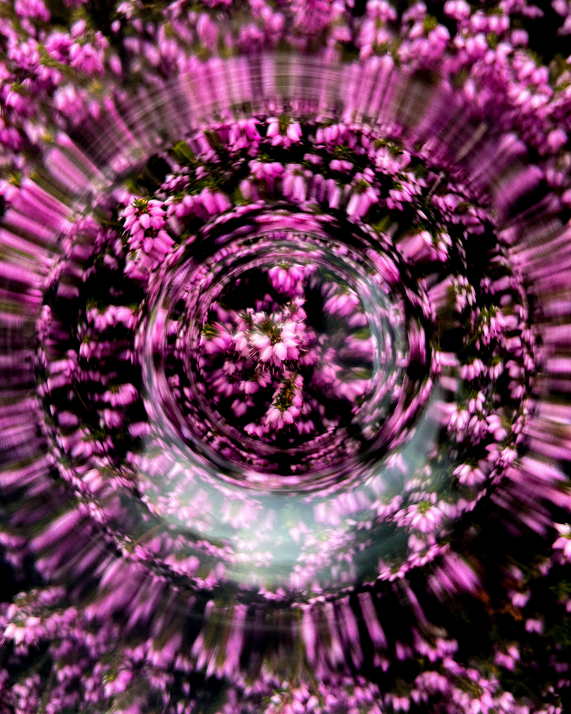 "the title could be your name"