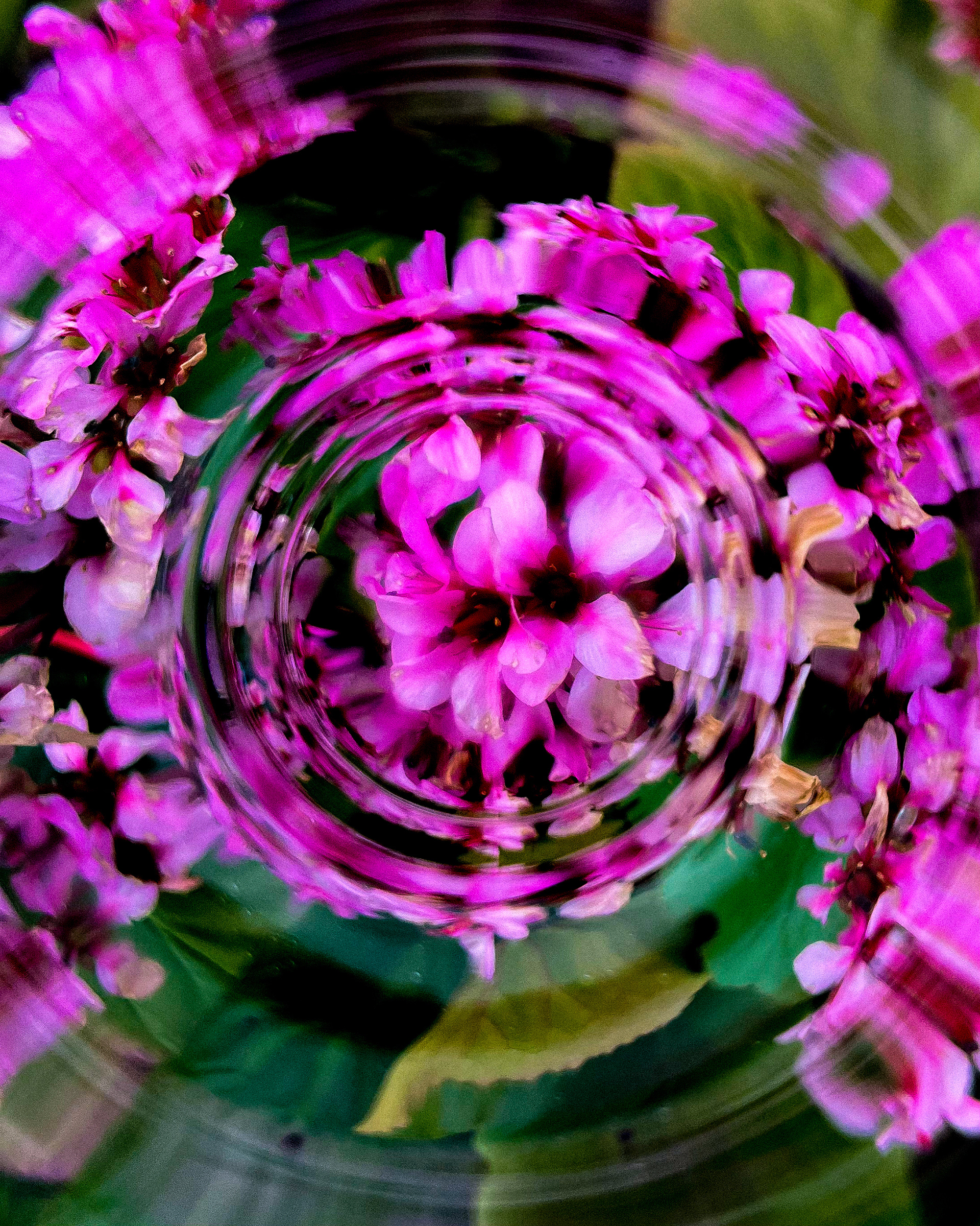 "the title could be your name"